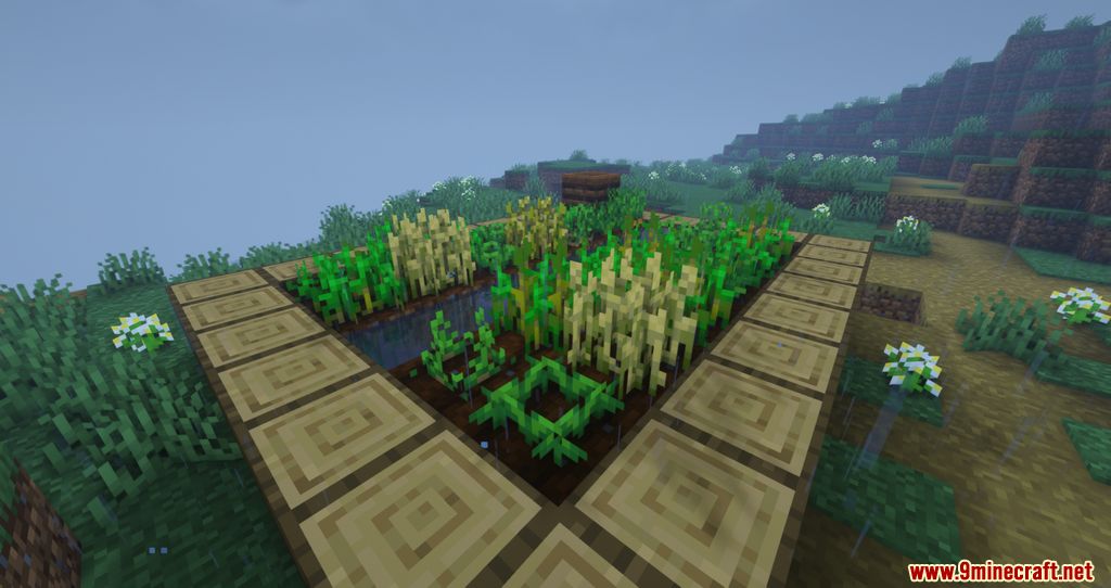 Water Crops Mod Crops Love Rain Mod (1.21.4, 1.20.1) - Crops Can Now Grow Faster With ...