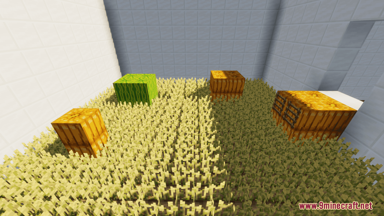 Pokerouges Floor Biome Map 25 Level Biome Parkour Map (1.21.5, 1.20.1) - Never Enough! - Aadhu.com