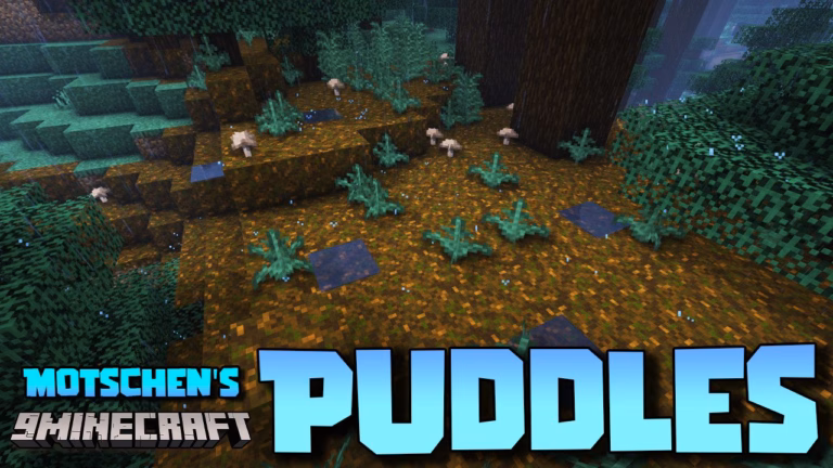 Motschen’s puddles mod (1. 21. 4, 1. 20. 1) – weather interactions