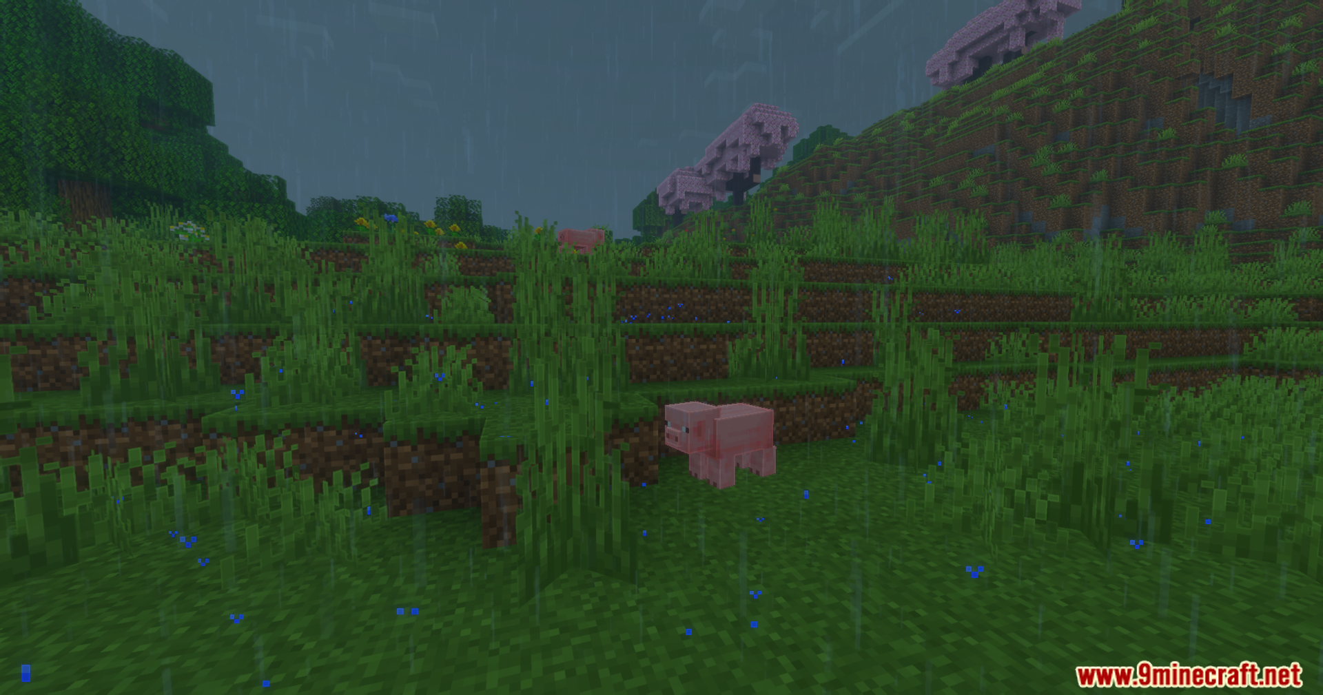 1746564438 229 night bloom shaders 1215 1201 glow up your world
