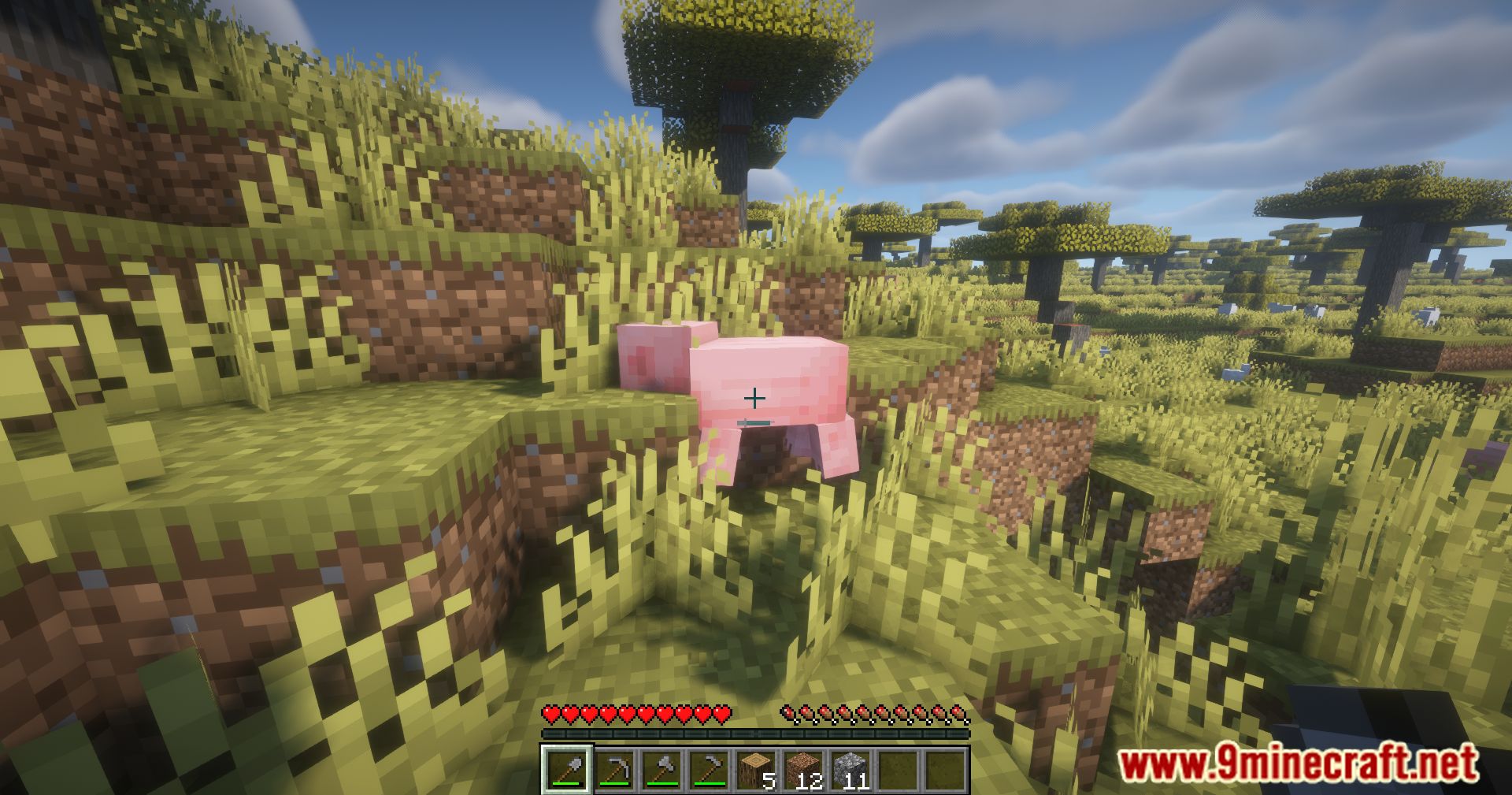 Minecraft Fast Exp Mod Experience Progress Mod (1.21.4, 1.20.1) - Track XP Progress Easily ...