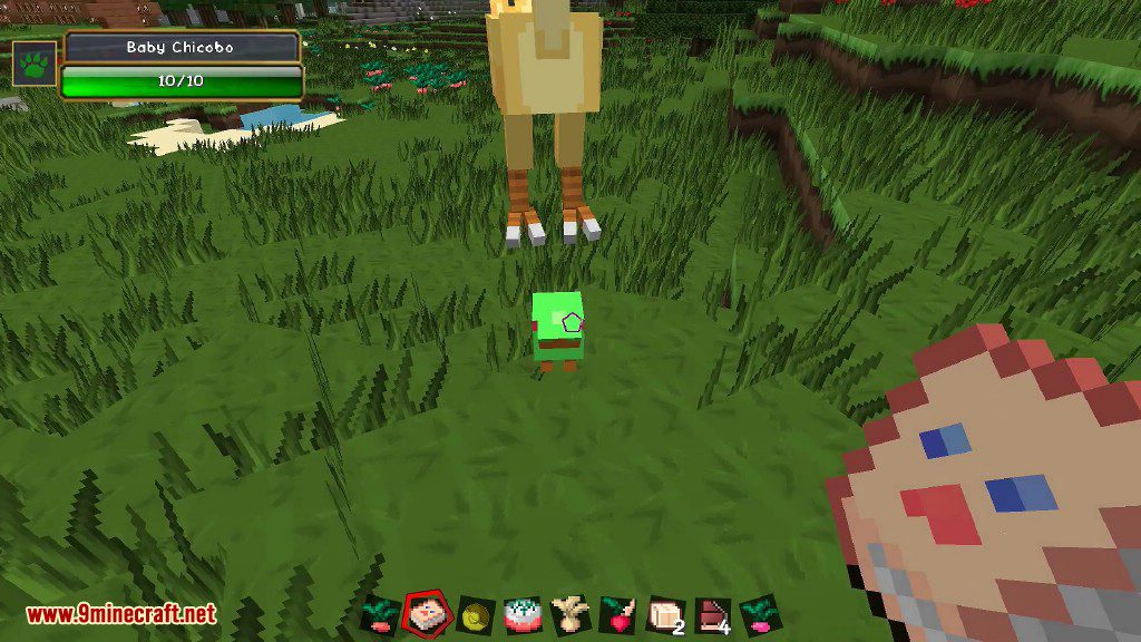 ChocoCraft Mod (1.21.1, 1.20.1) - Chocobos From Final Fantasy - Aadhu.com