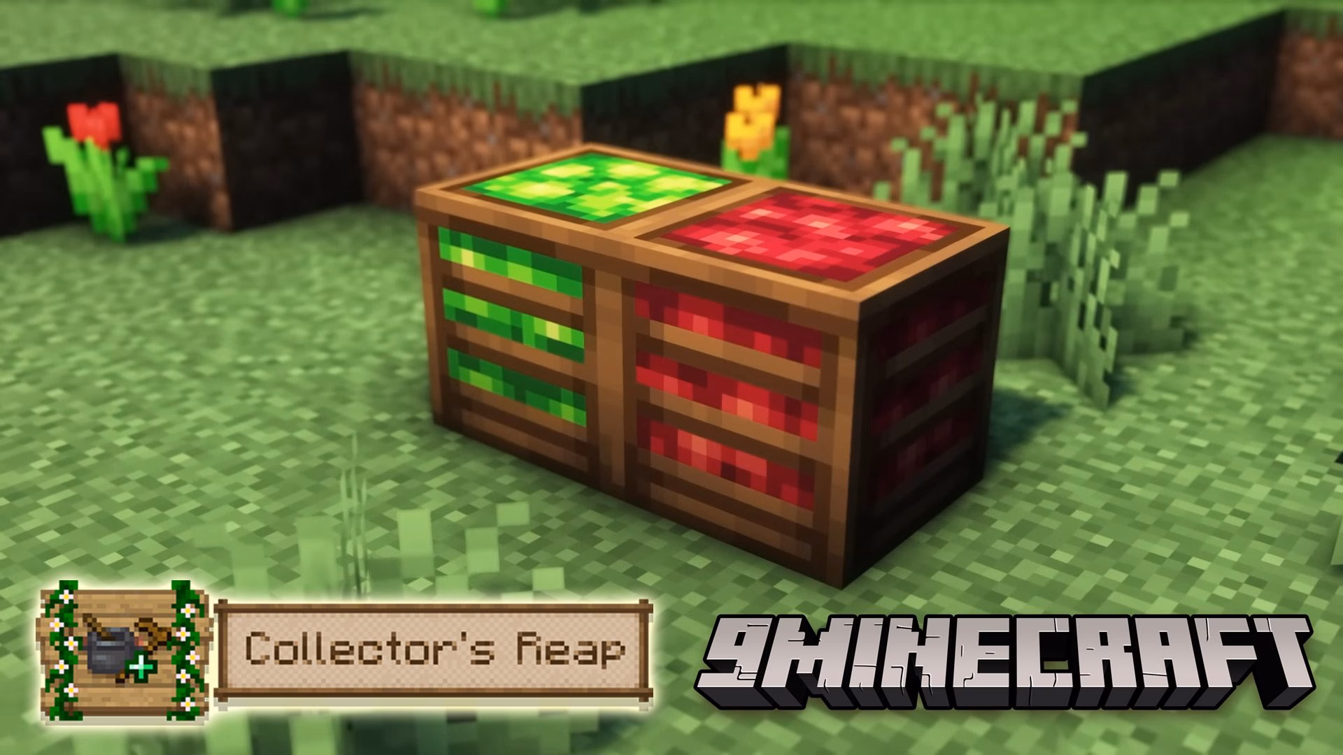 Collectors-reap-mod. Jpg