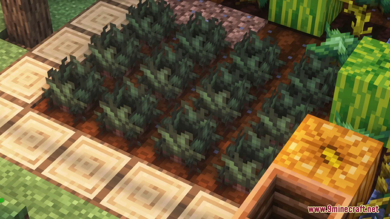 Miner's Delight Plus Mod (1.20.1, 1.19.2) - How To Make Grilled Squid ...