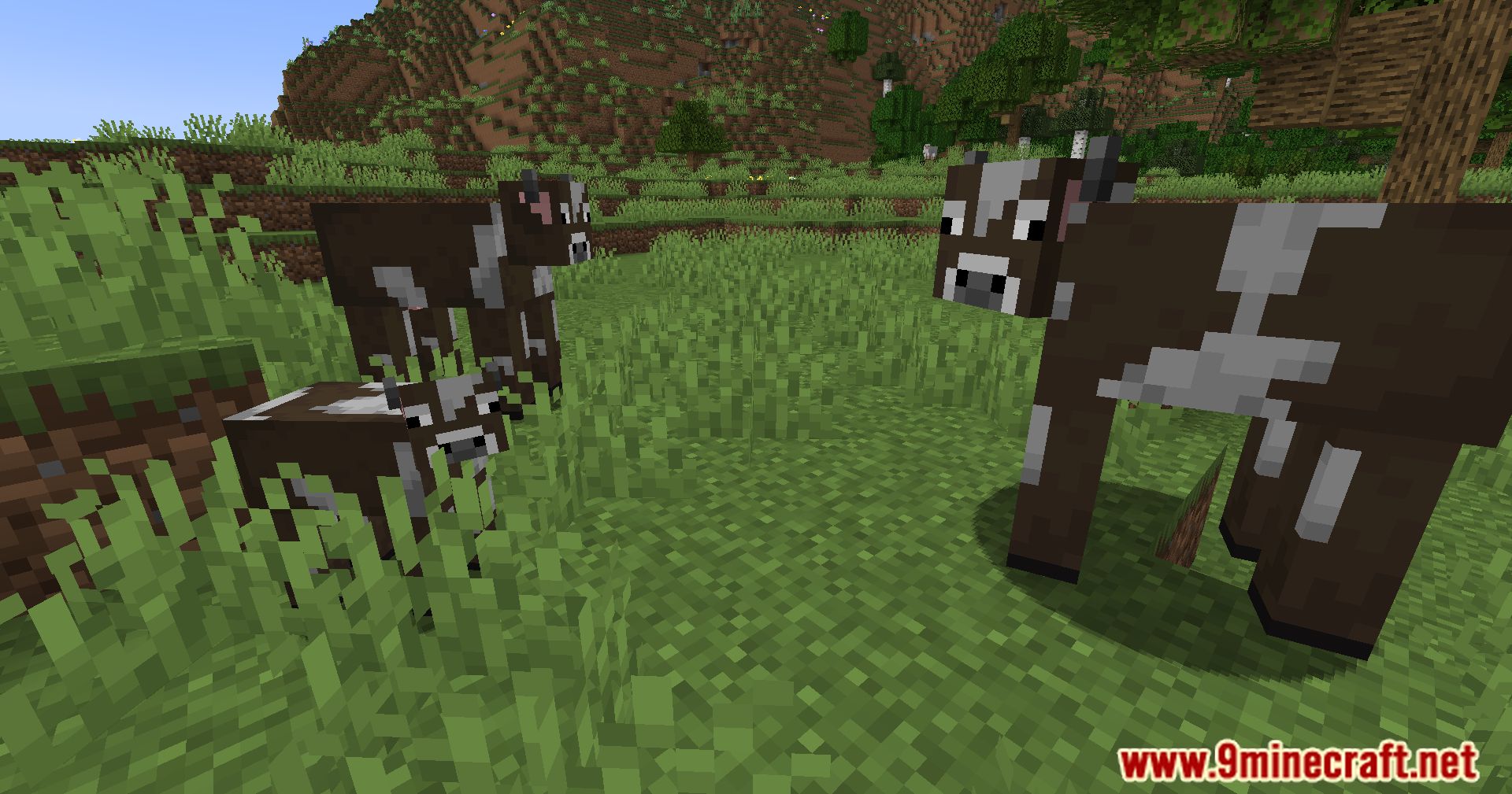 Random Mob Sizes Mod (1.21.7, 1.20.1) - The Dynamic World Of Minecraft ...