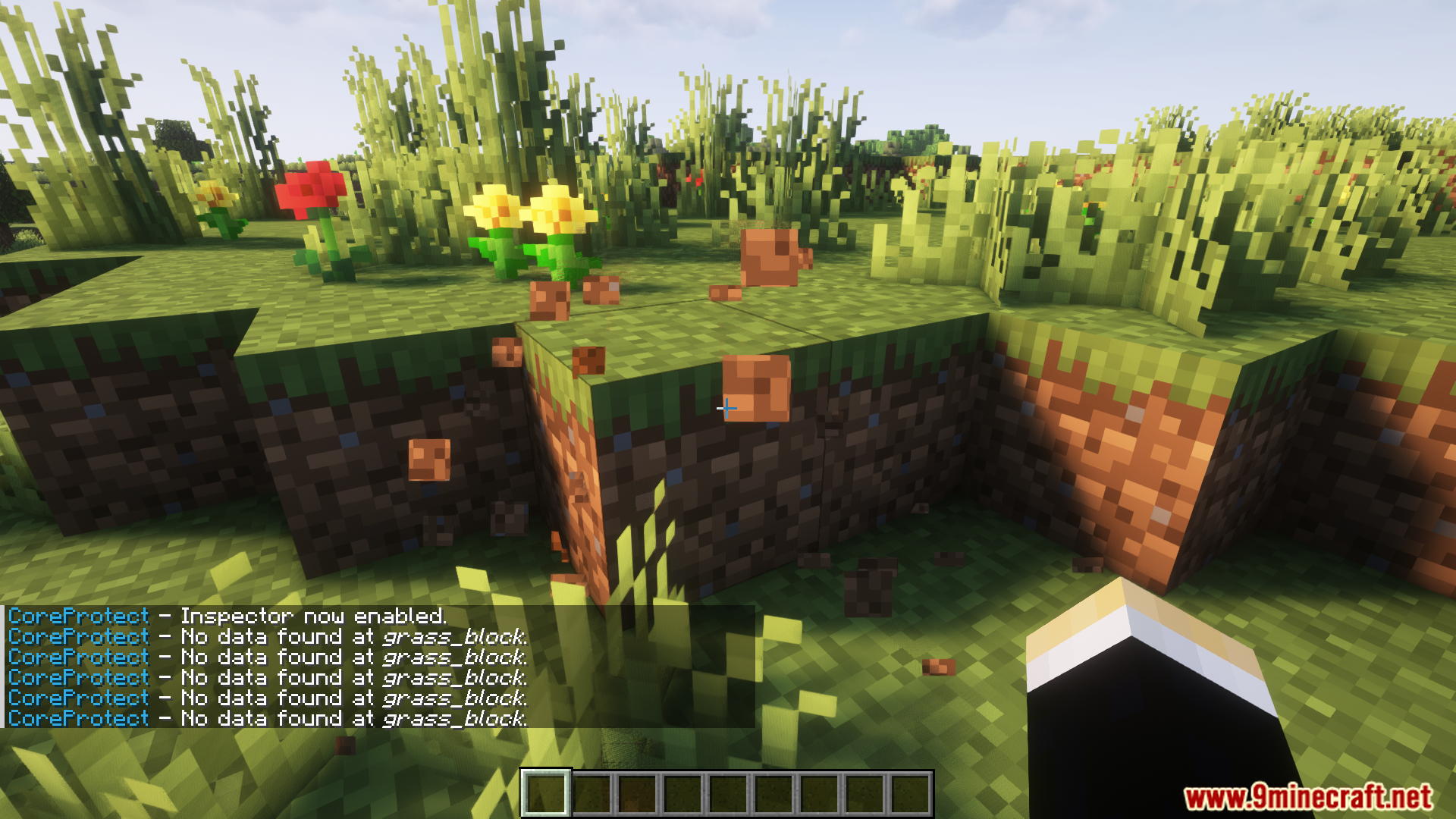 CoreProtect Community Edition Plugin (1.21.8, 1.20.1) - Powerful Anti ...