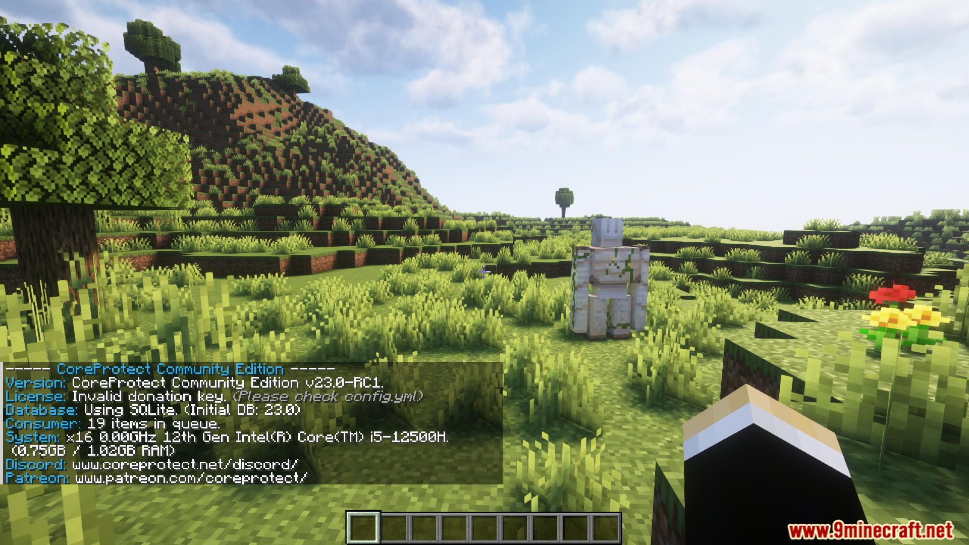 CoreProtect Community Edition Plugin (1.21.8, 1.20.1) - Powerful Anti ...