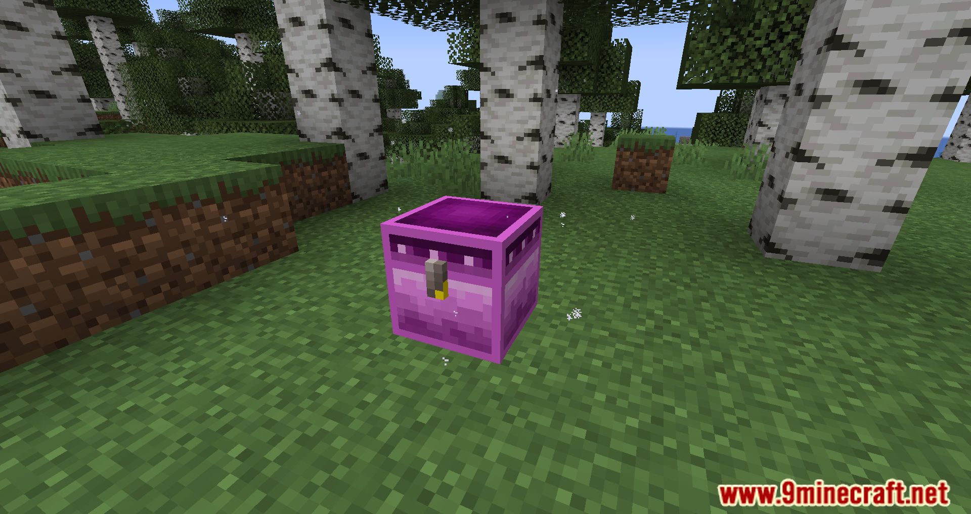 Wunderreich Mod (1.21.8, 1.20.1) - Trowel Tool, Miracle Chest 80 1755444242 907 wunderreich mod 1218 1201 trowel tool miracle chest