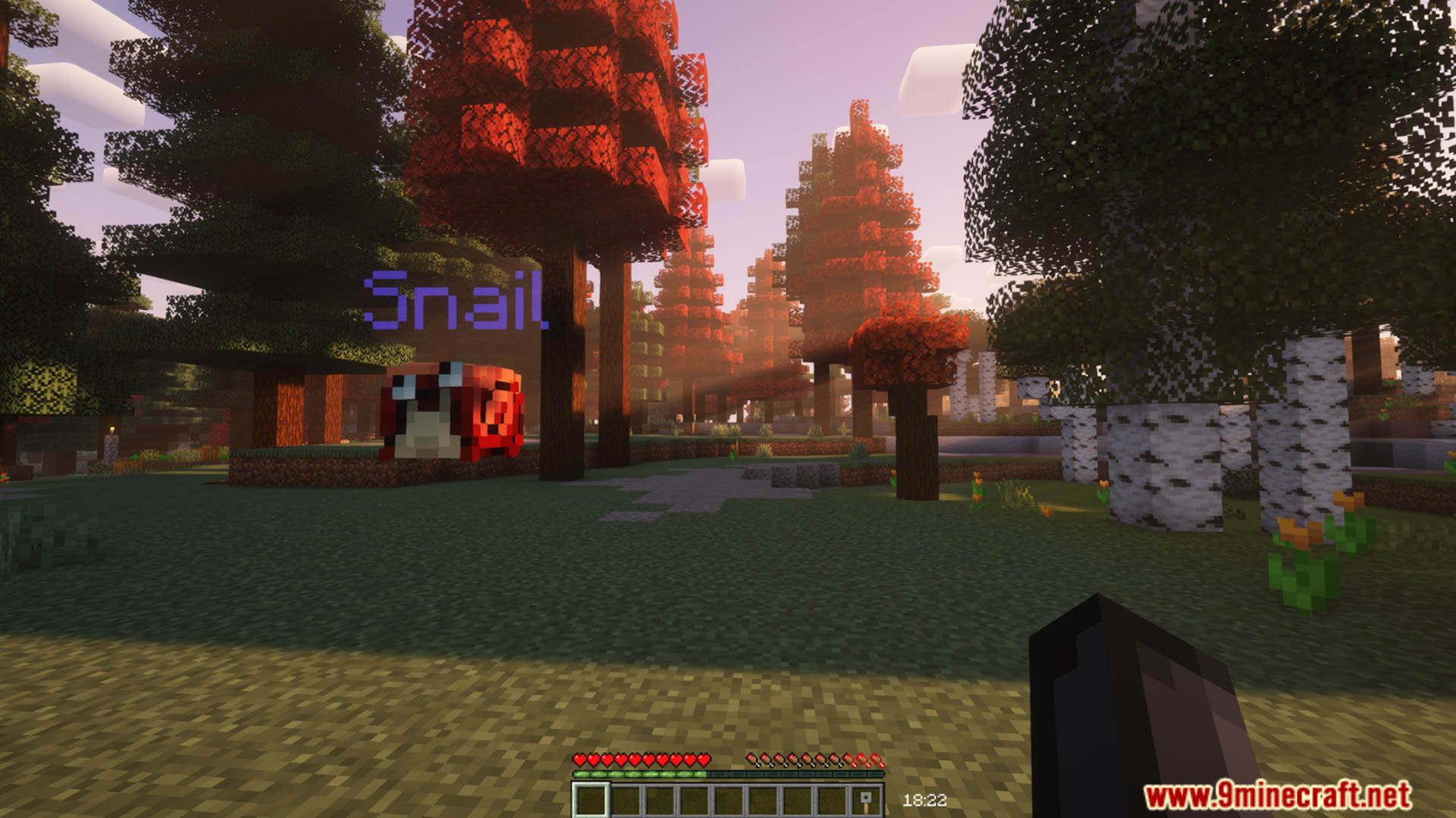 Better Pets Data Pack (1.21.8, 1.20.1) – Unique Pets With Special Abilities 8 Better pets data pack screenshots 7
