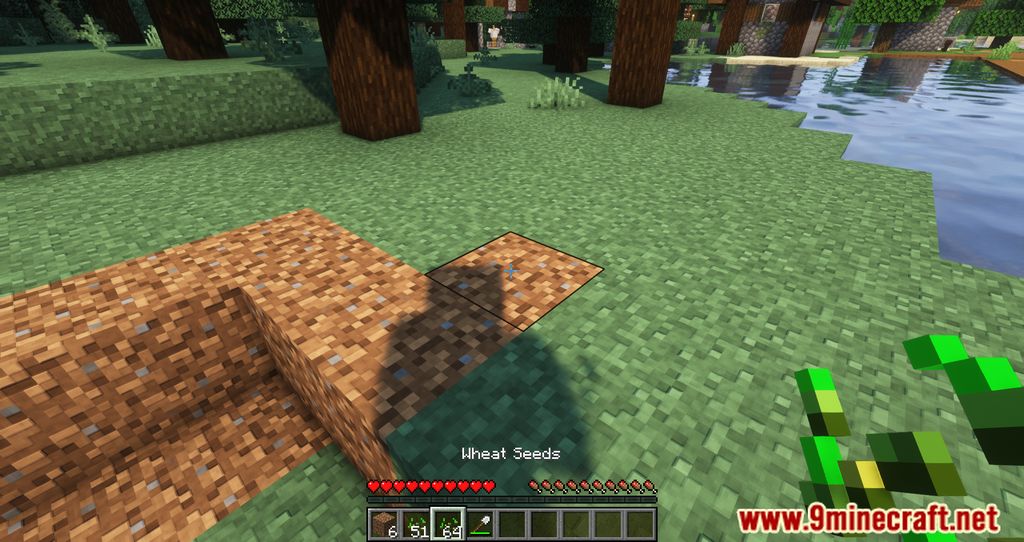 Grass Seeds Mod (1.21.10, 1.20.1) – Transform Dirt Into Grass 6 Grass seeds mod screenshots 05