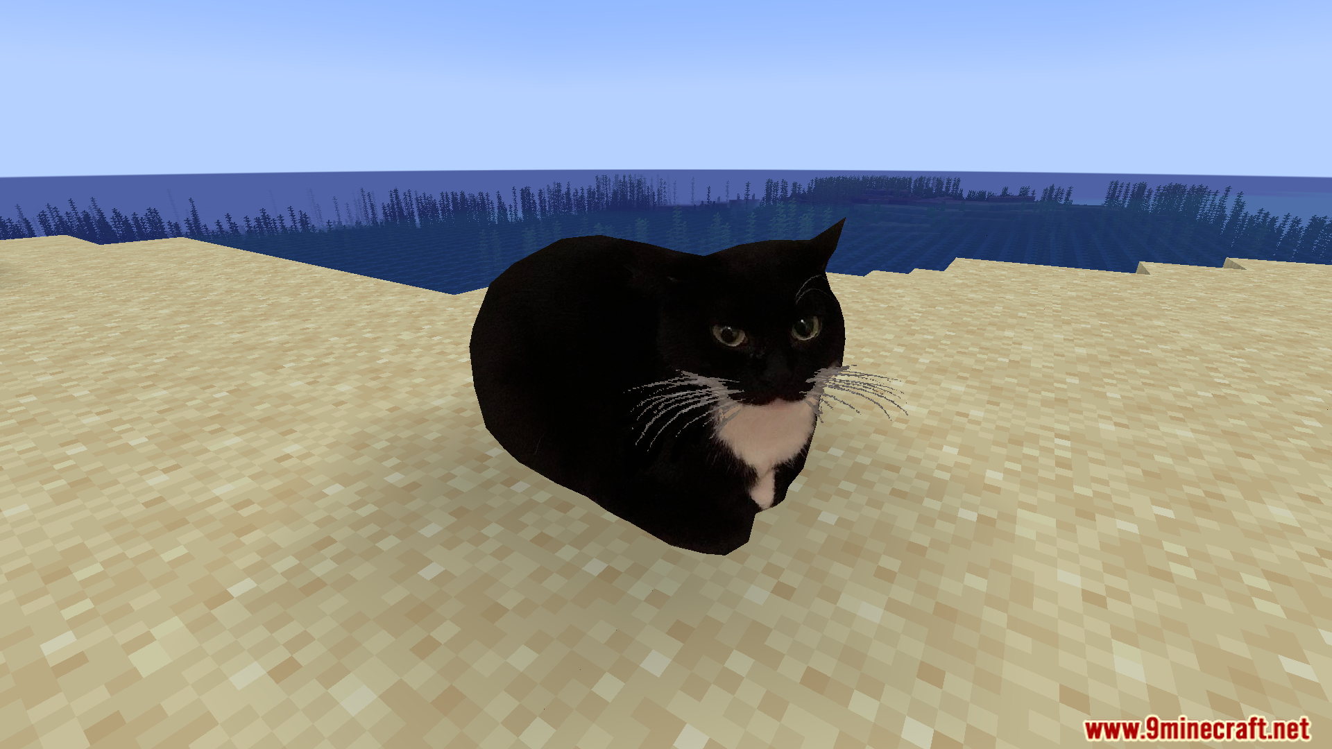Maxwell The Placeable Cat Mod (1.21.9, 1.20.1) – Maxwell Cat And His Friends 3 Maxwell the placeable cat mod screenshot 02