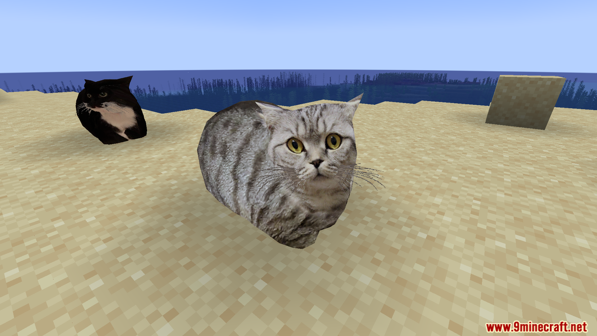 Maxwell The Placeable Cat Mod (1.21.9, 1.20.1) – Maxwell Cat And His Friends 4 Maxwell the placeable cat mod screenshot 03