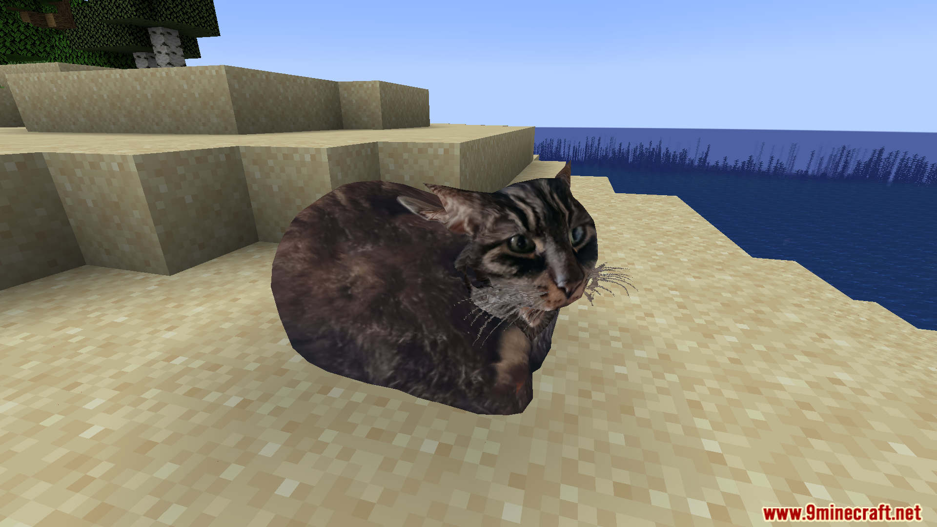 Maxwell The Placeable Cat Mod (1.21.9, 1.20.1) – Maxwell Cat And His Friends 7 Maxwell the placeable cat mod screenshot 06