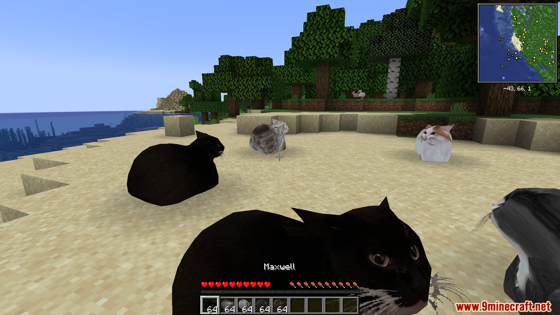 Maxwell The Placeable Cat Mod (1.21.9, 1.20.1) – Maxwell Cat And His Friends 8 Maxwell the placeable cat mod screenshot 07