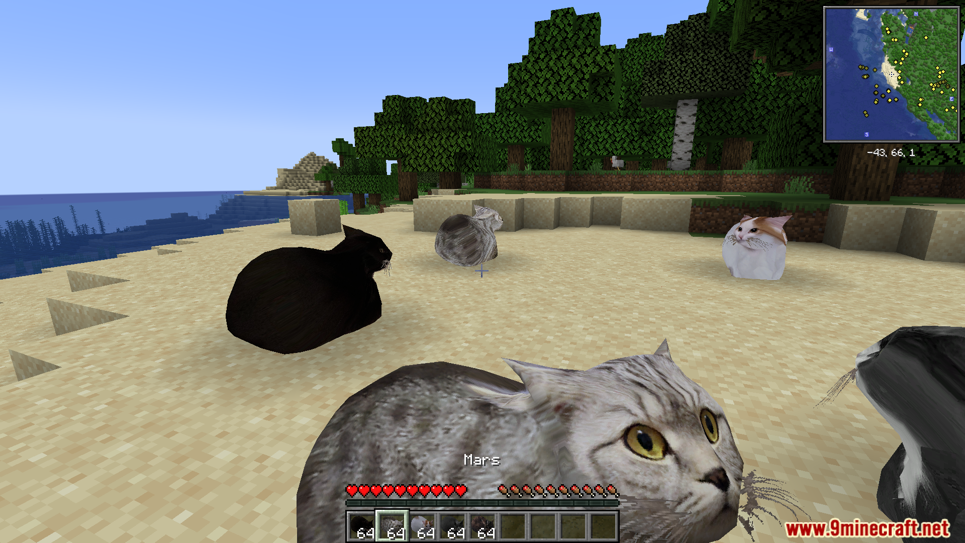 Maxwell The Placeable Cat Mod (1.21.9, 1.20.1) – Maxwell Cat And His Friends 9 Maxwell the placeable cat mod screenshot 08