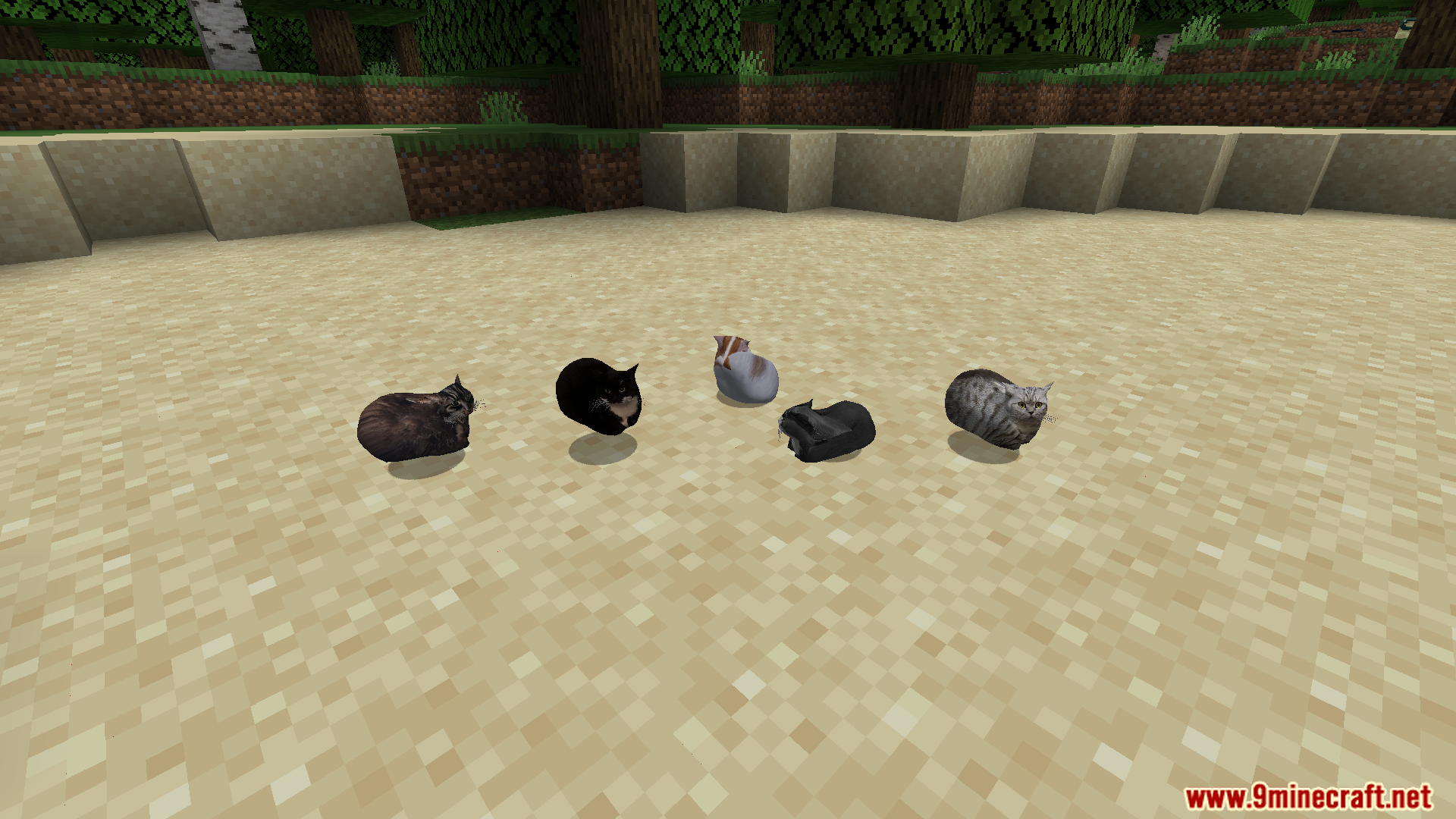 Maxwell The Placeable Cat Mod (1.21.9, 1.20.1) – Maxwell Cat And His Friends 10 Maxwell the placeable cat mod screenshot 09