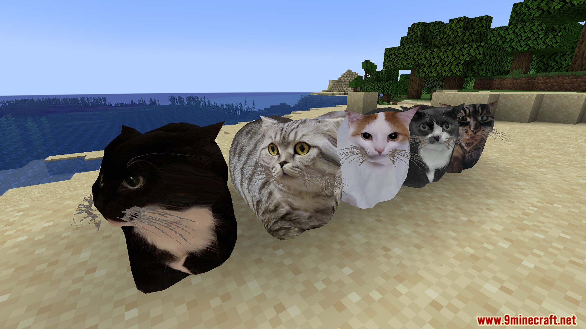 Maxwell The Placeable Cat Mod (1.21.9, 1.20.1) – Maxwell Cat And His Friends 11 Maxwell the placeable cat mod screenshot 10