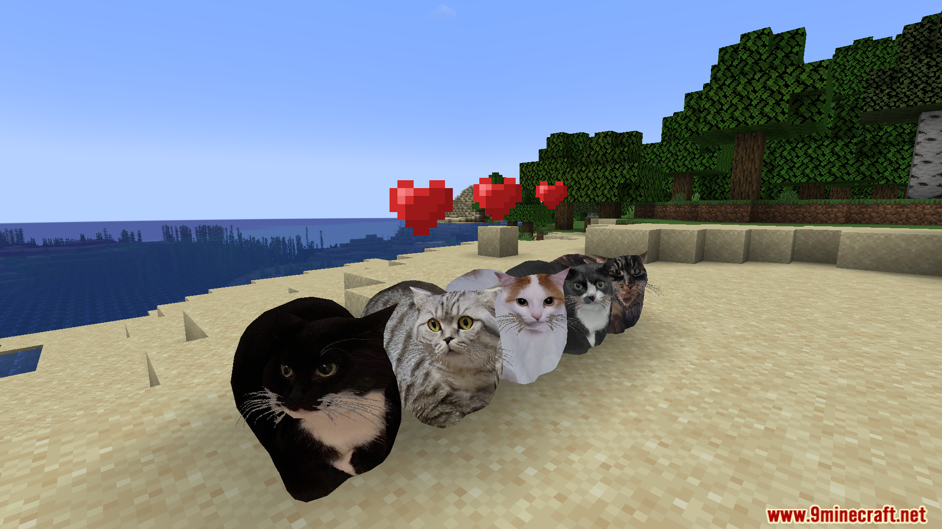 Maxwell The Placeable Cat Mod (1.21.9, 1.20.1) – Maxwell Cat And His Friends 12 Maxwell the placeable cat mod screenshot 11