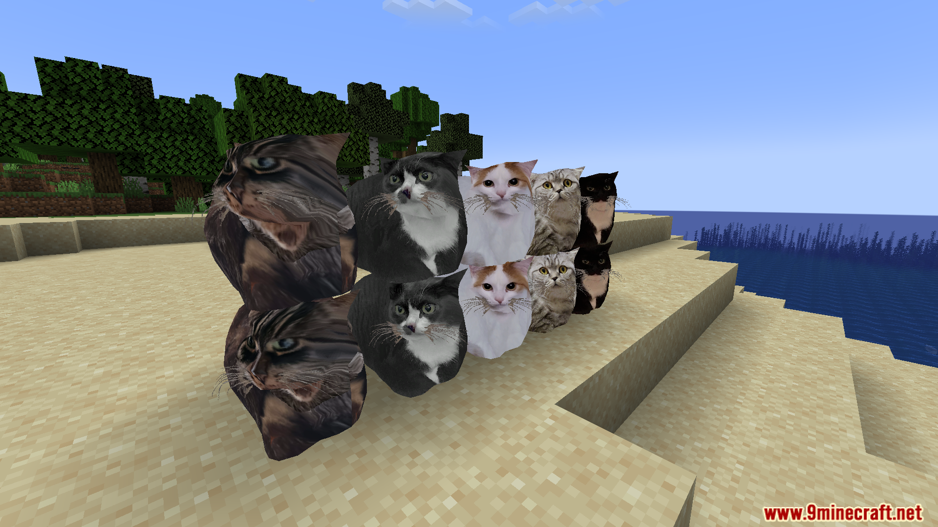 Maxwell The Placeable Cat Mod (1.21.9, 1.20.1) – Maxwell Cat And His Friends 13 Maxwell the placeable cat mod screenshot 12