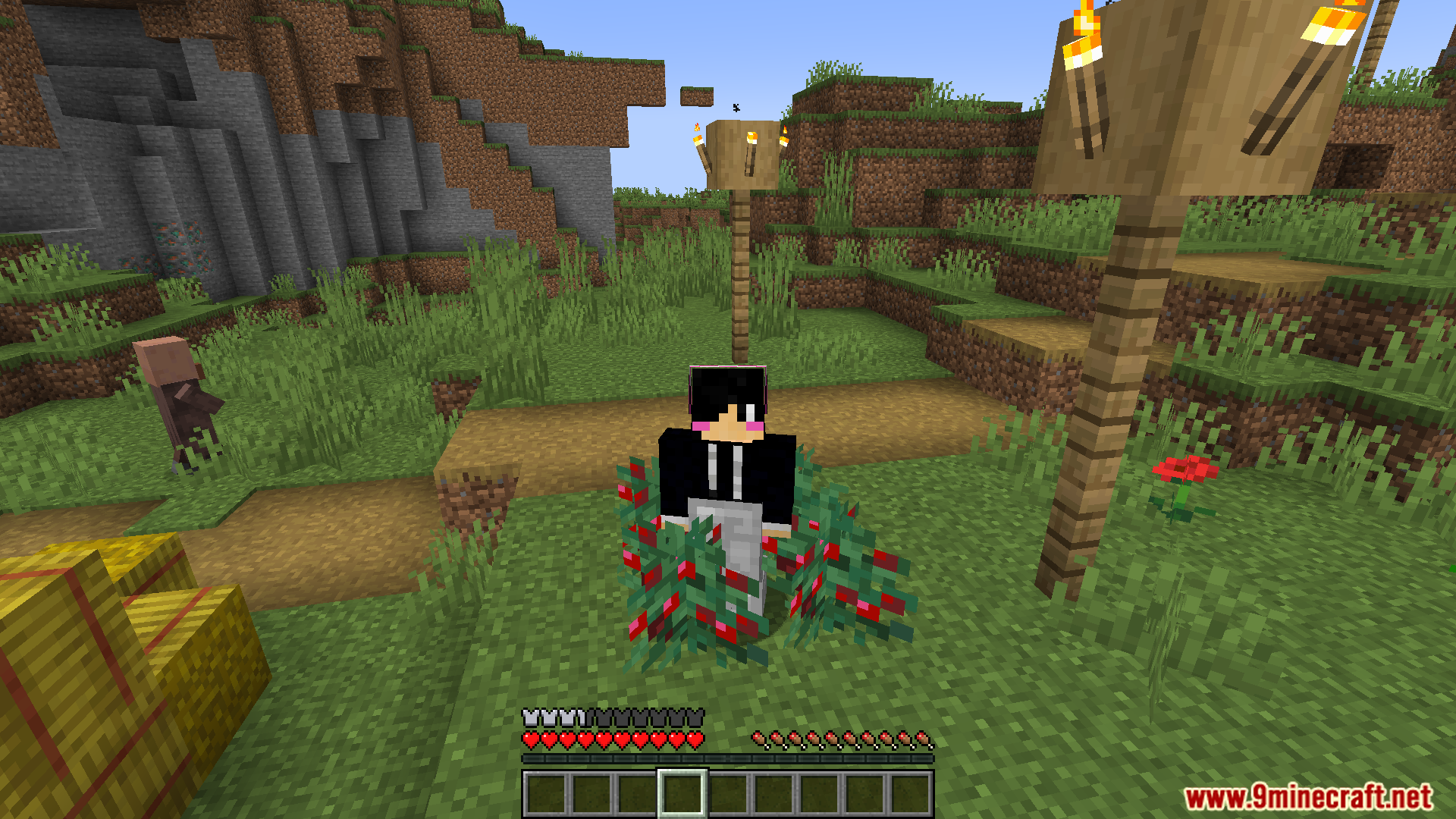 Misc tweaks mod screenshot 06