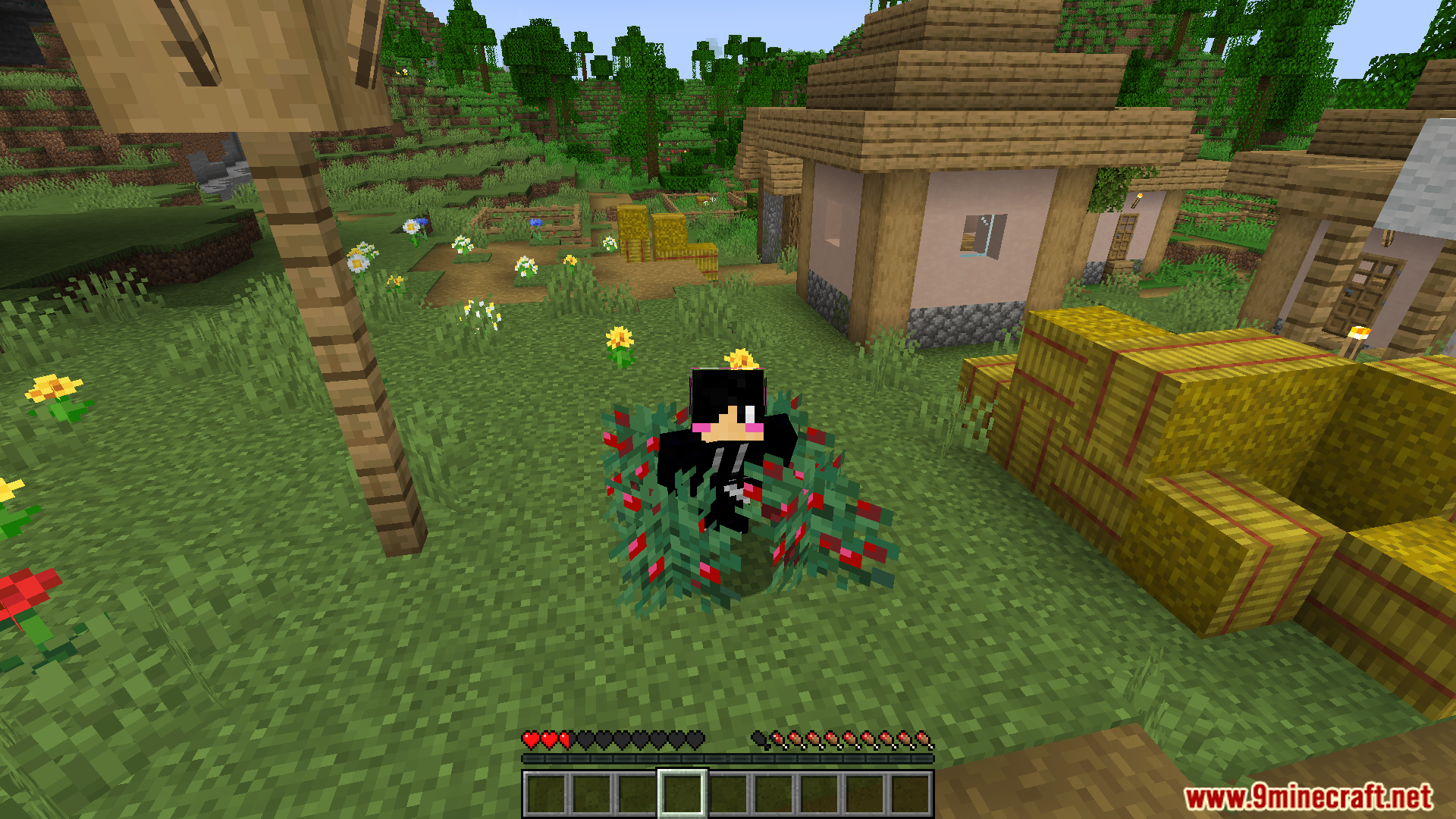 Misc tweaks mod screenshot 08