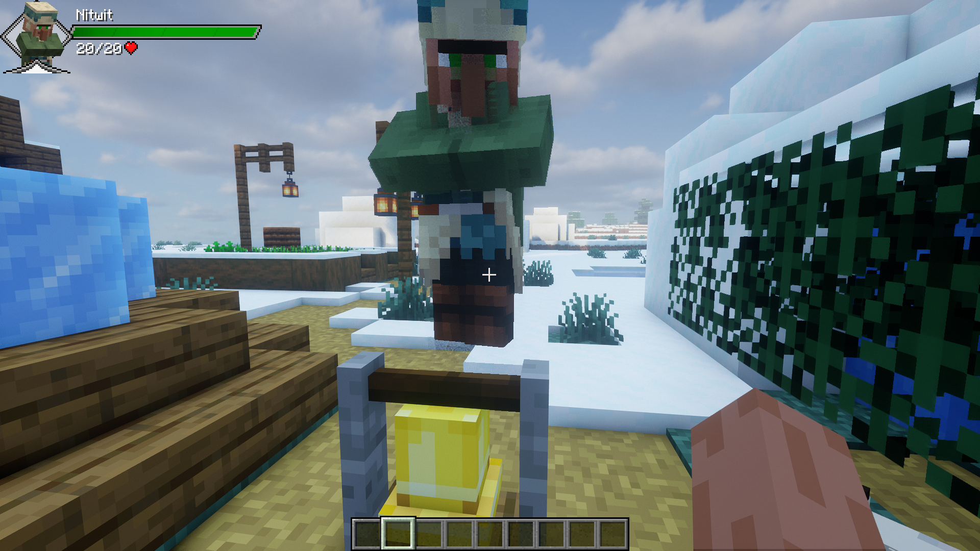 Provi’s Health Bars Mod (1.21.10, 1.20.1) – Health Bars &Amp; Damage Indicators 3 Provis health bars mod screenshot 02
