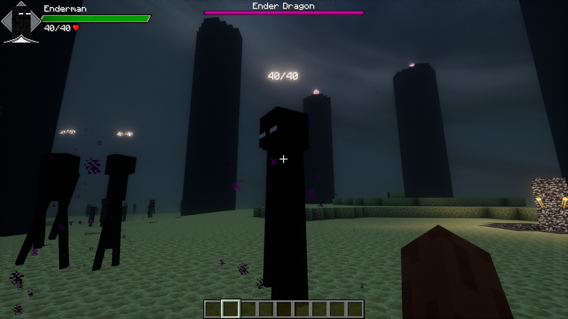 Provi’s Health Bars Mod (1.21.10, 1.20.1) – Health Bars &Amp; Damage Indicators 7 Provis health bars mod screenshot 06