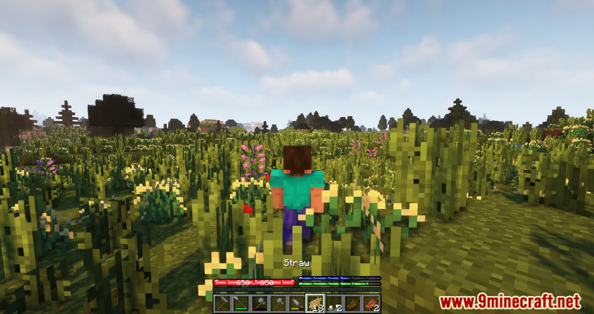 Terracraft Mod TerraFirmaCraft Mod (1.21.1, 1.20.1) – World Generation
