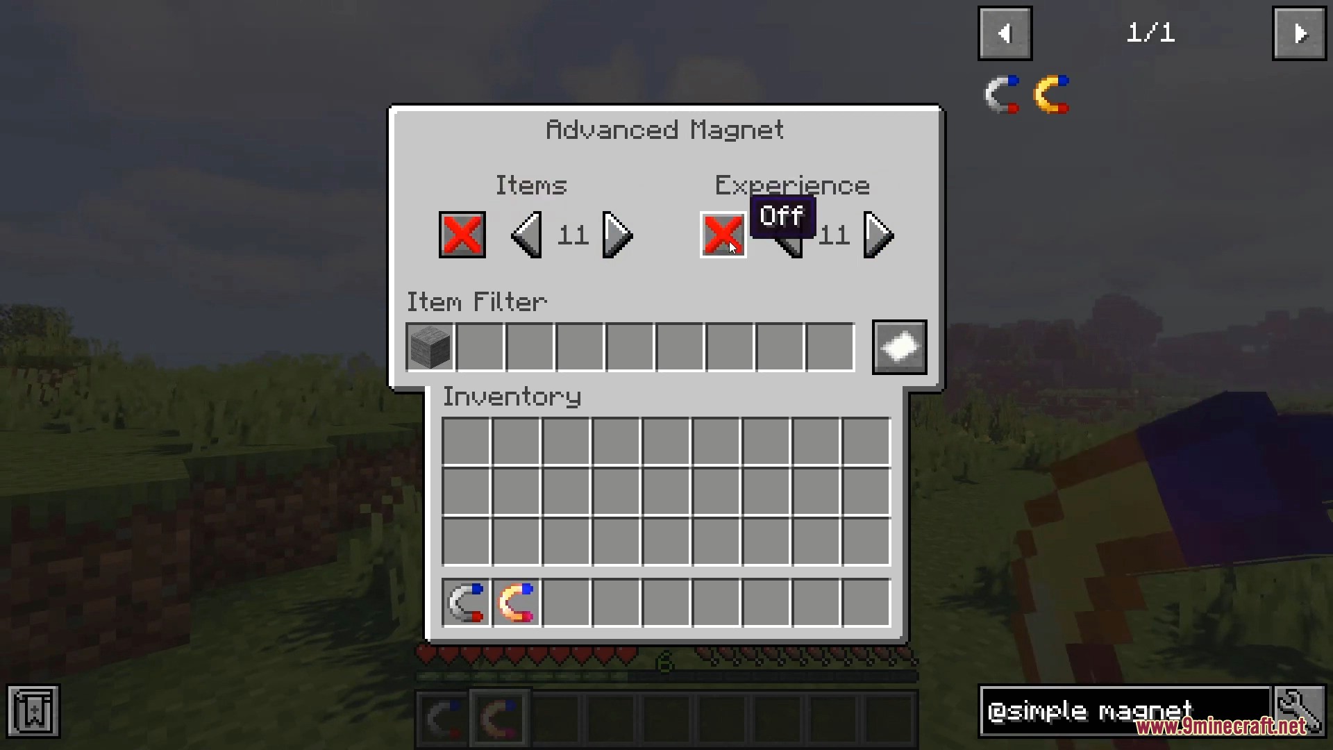 Mod Magnet Simple Magnets Mod (1.21.11, 1.20.1) – Pickup Items And Experience