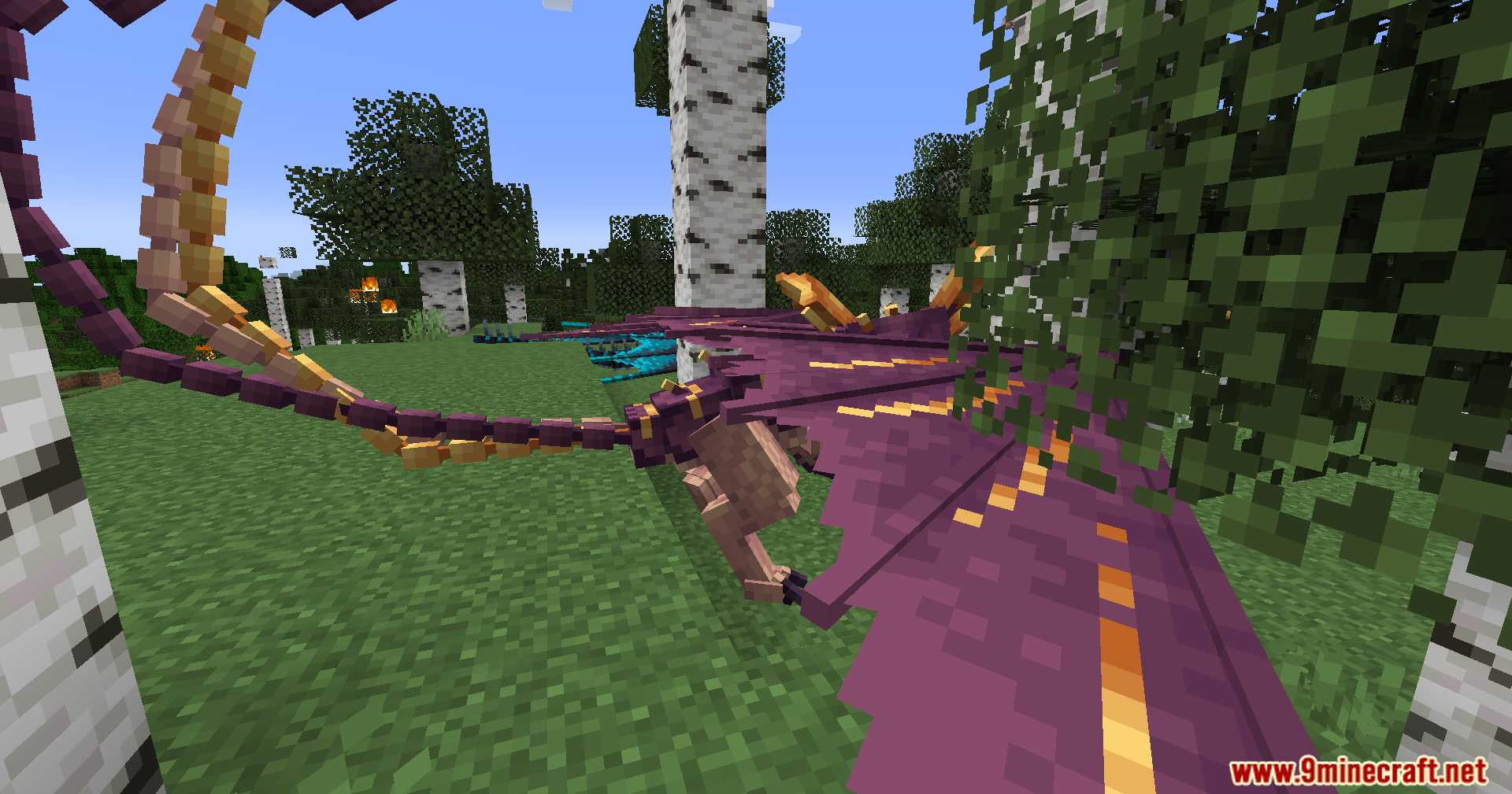 Dragon Feed Mod (1.18.2) – Growth Boosting Foods For Baby Dragons