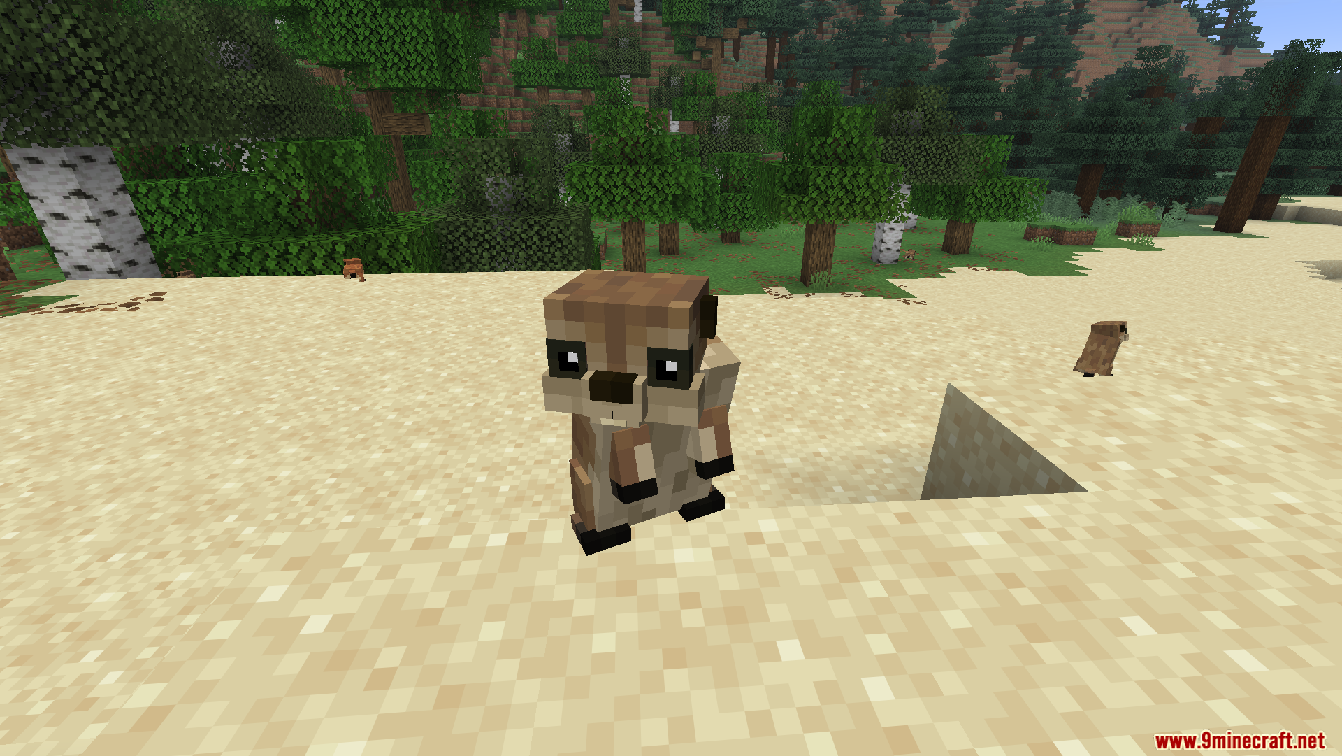 Front face view of a prairie dog from animal garden mod