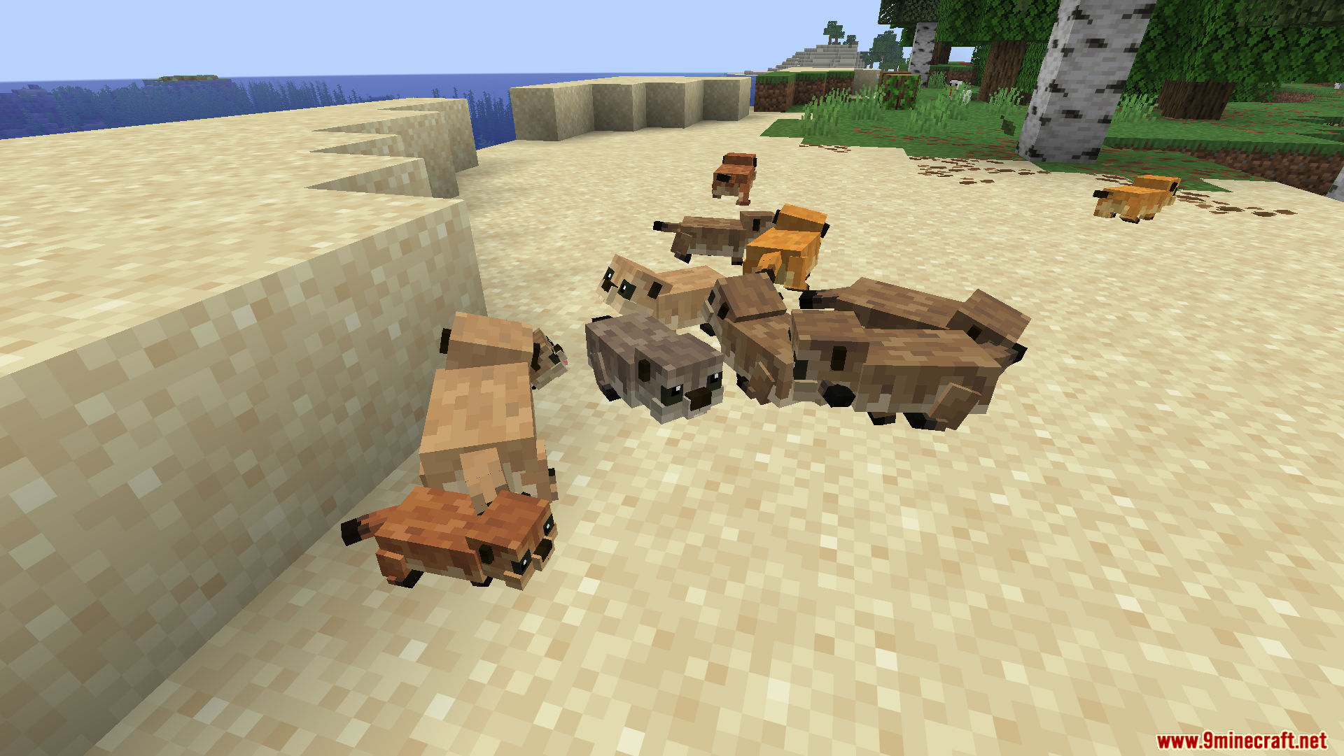 A large group of colorful prairie dogs gathered on the sand