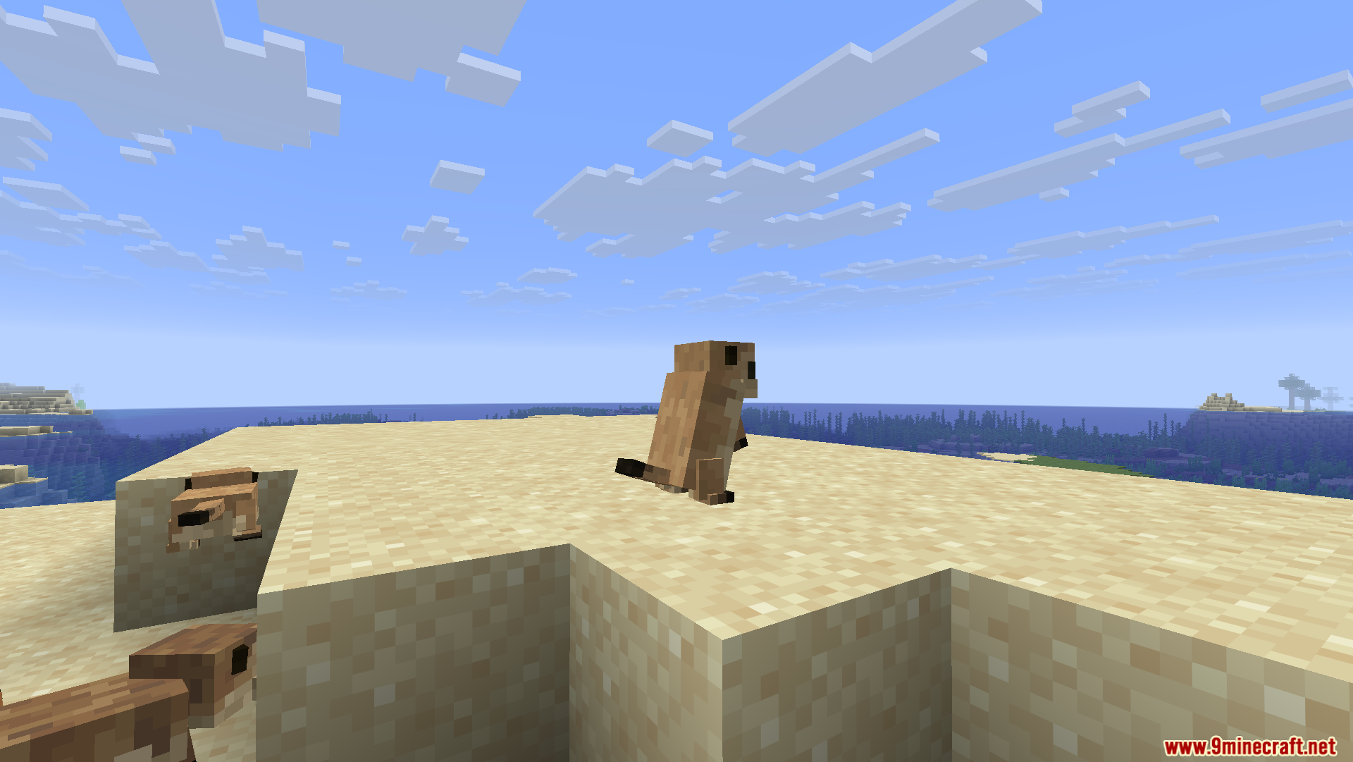 Brown prairie dog standing on its hind legs on sand blocks