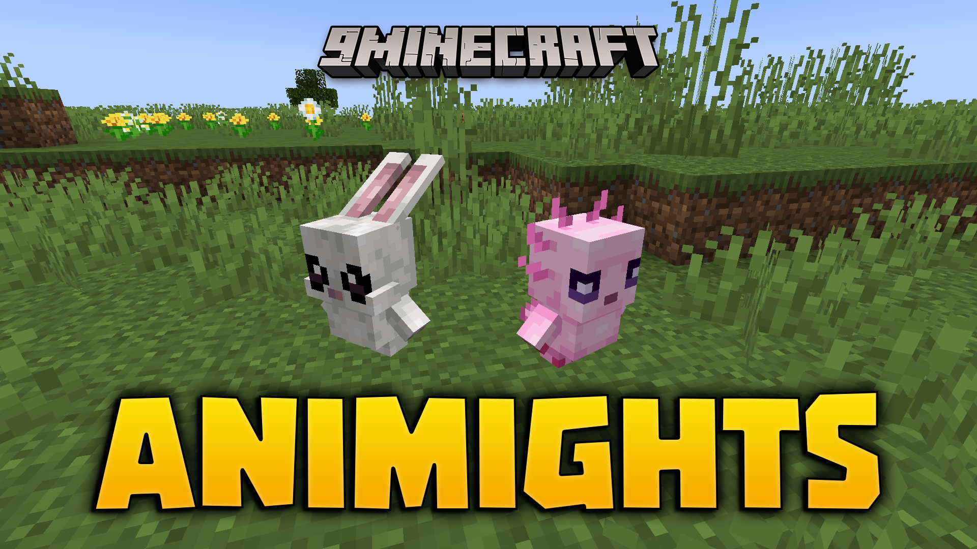 Animights Mod (1.20.1, 1.20) – Loyal Squire