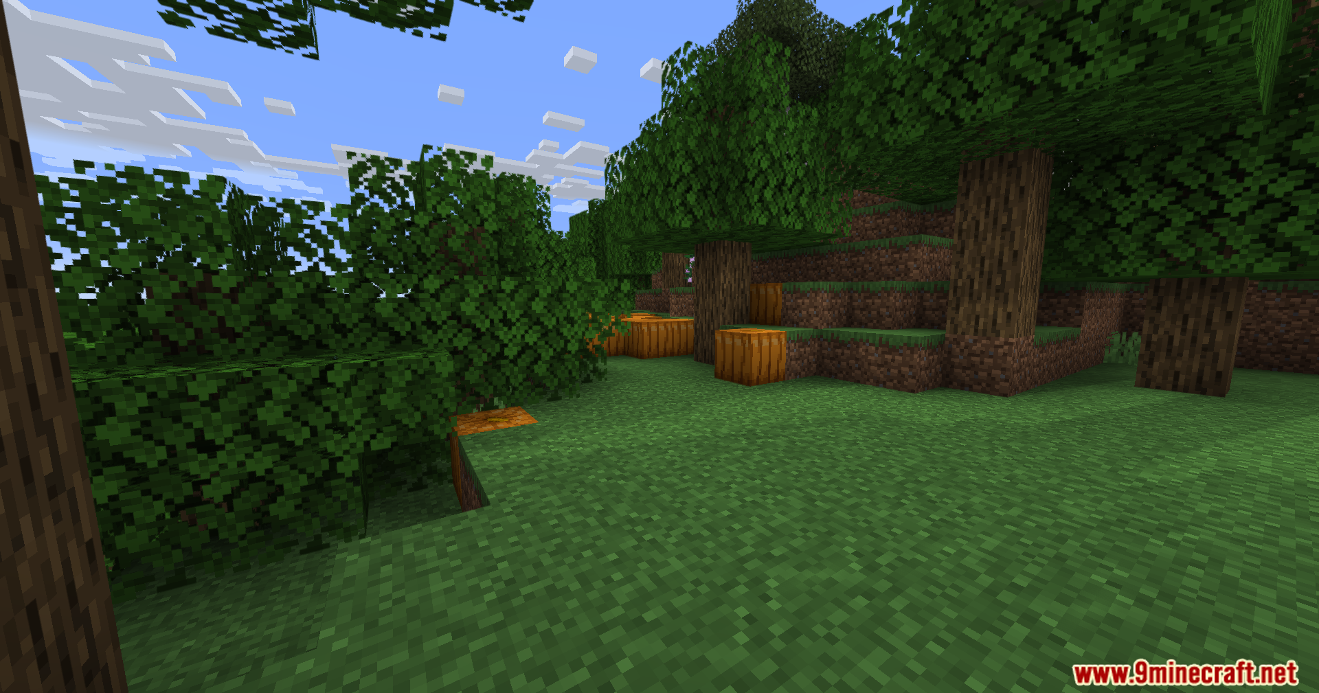 Better Default Shaders (26.1.2, 1.20.1) – Sun And Shadow Controls 5 Better default shaders screenshots 4