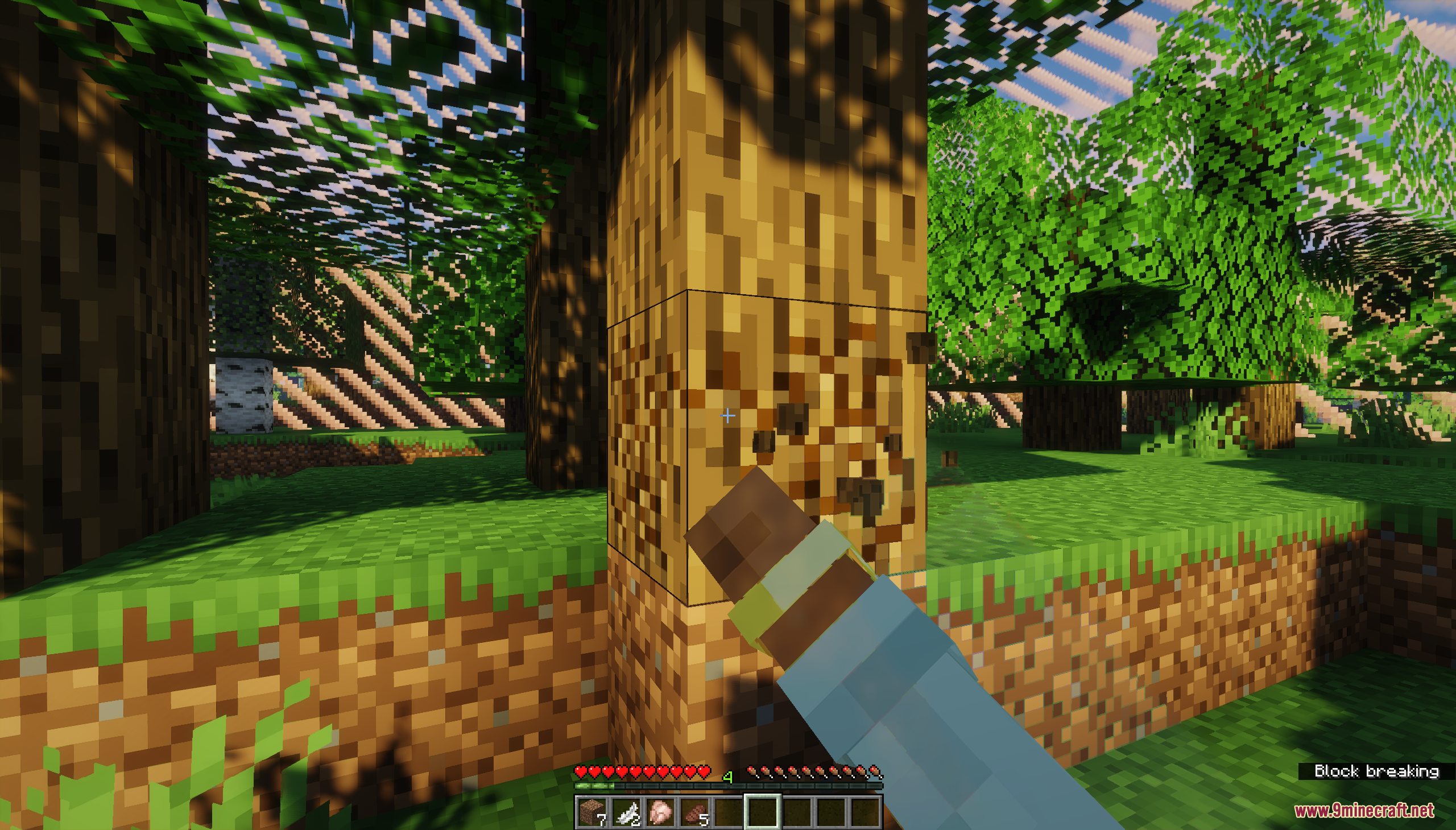 Big Xp Map BorderXP Map (26.1.2, 1.20.1) – Gain XP And Advance!
