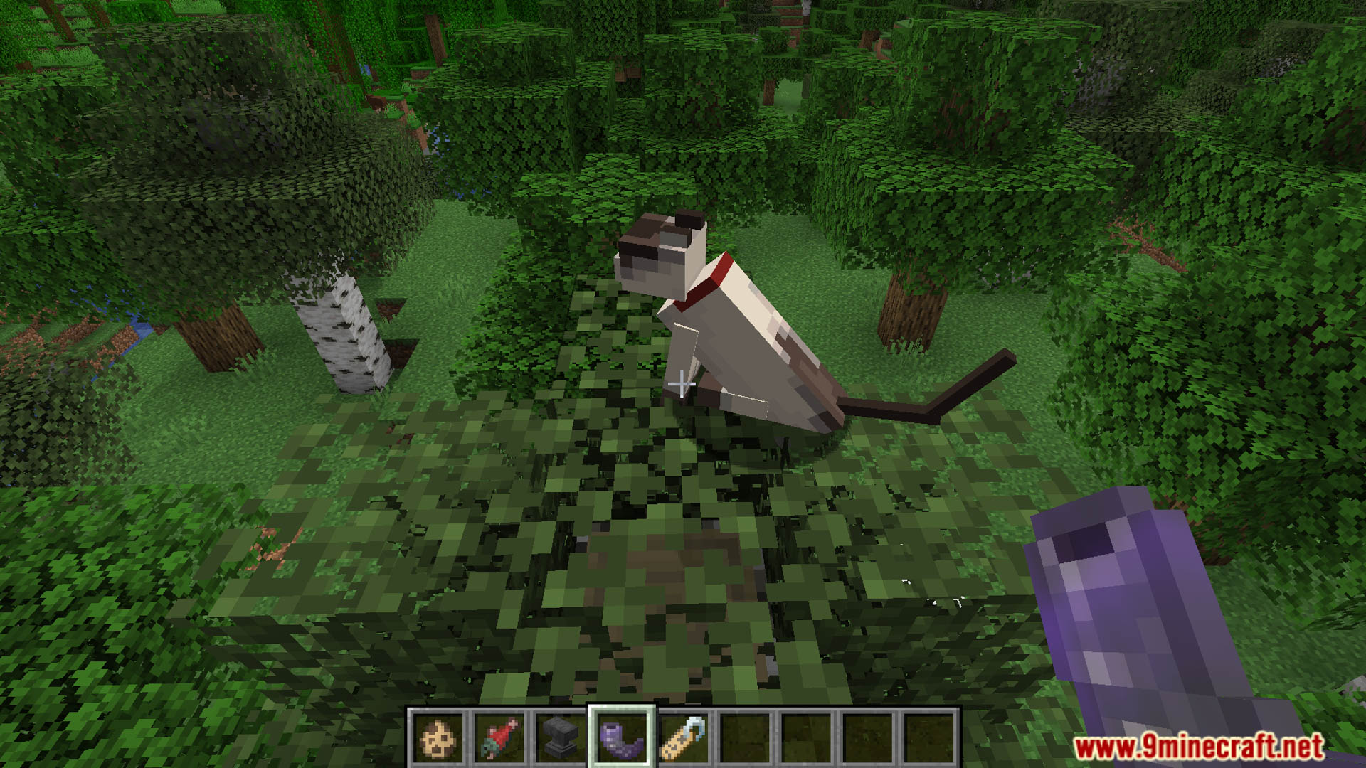 Call your cat data pack screenshots 7