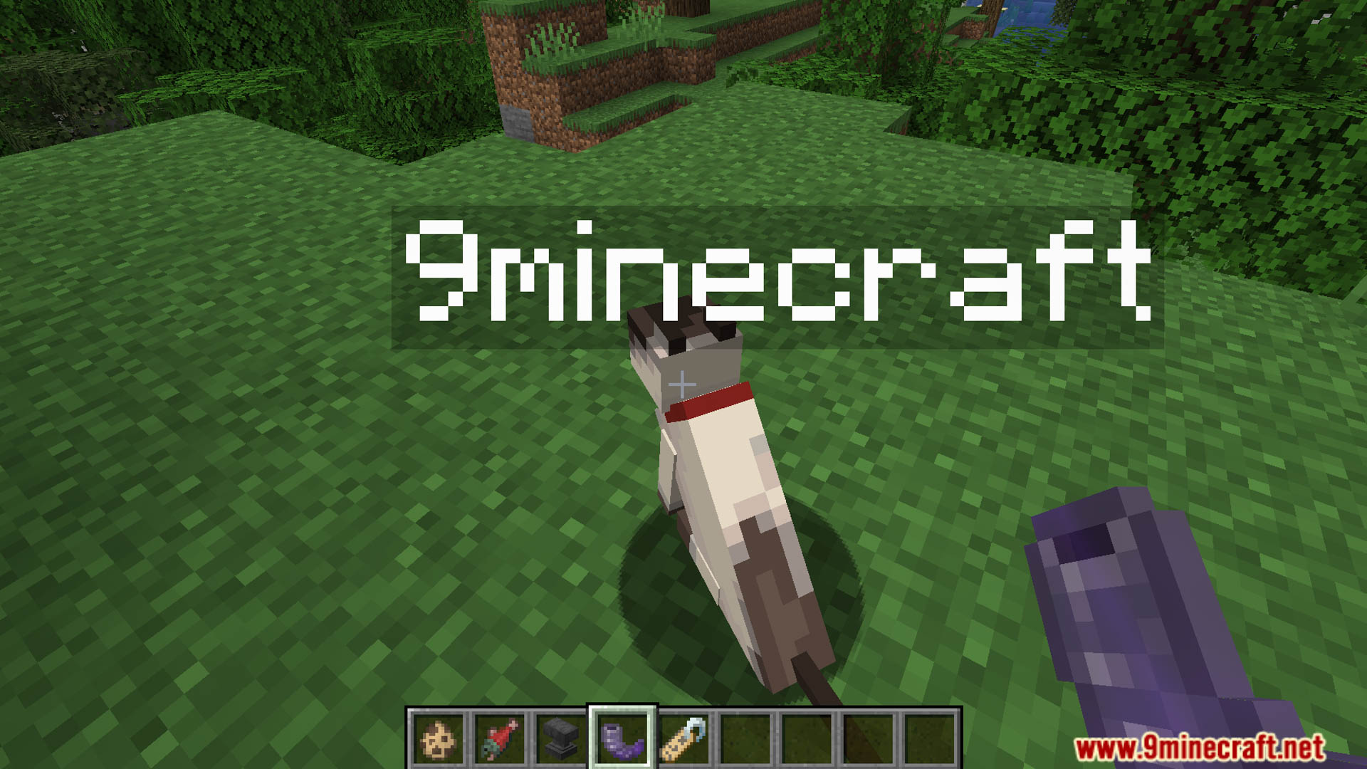 Call your cat data pack screenshots 9