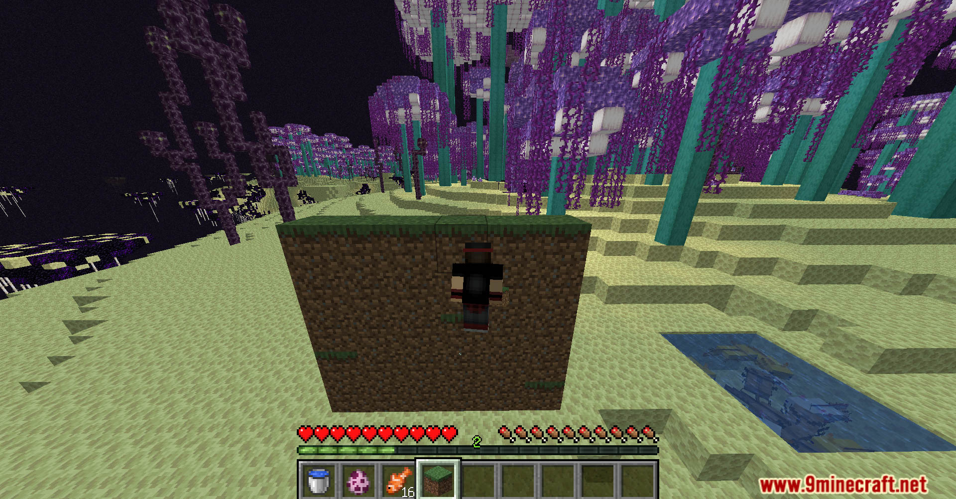 CoffeeG’s Double Jump Data Pack (1.21.11, 1.20.1) – Wall Jump, Leap ...