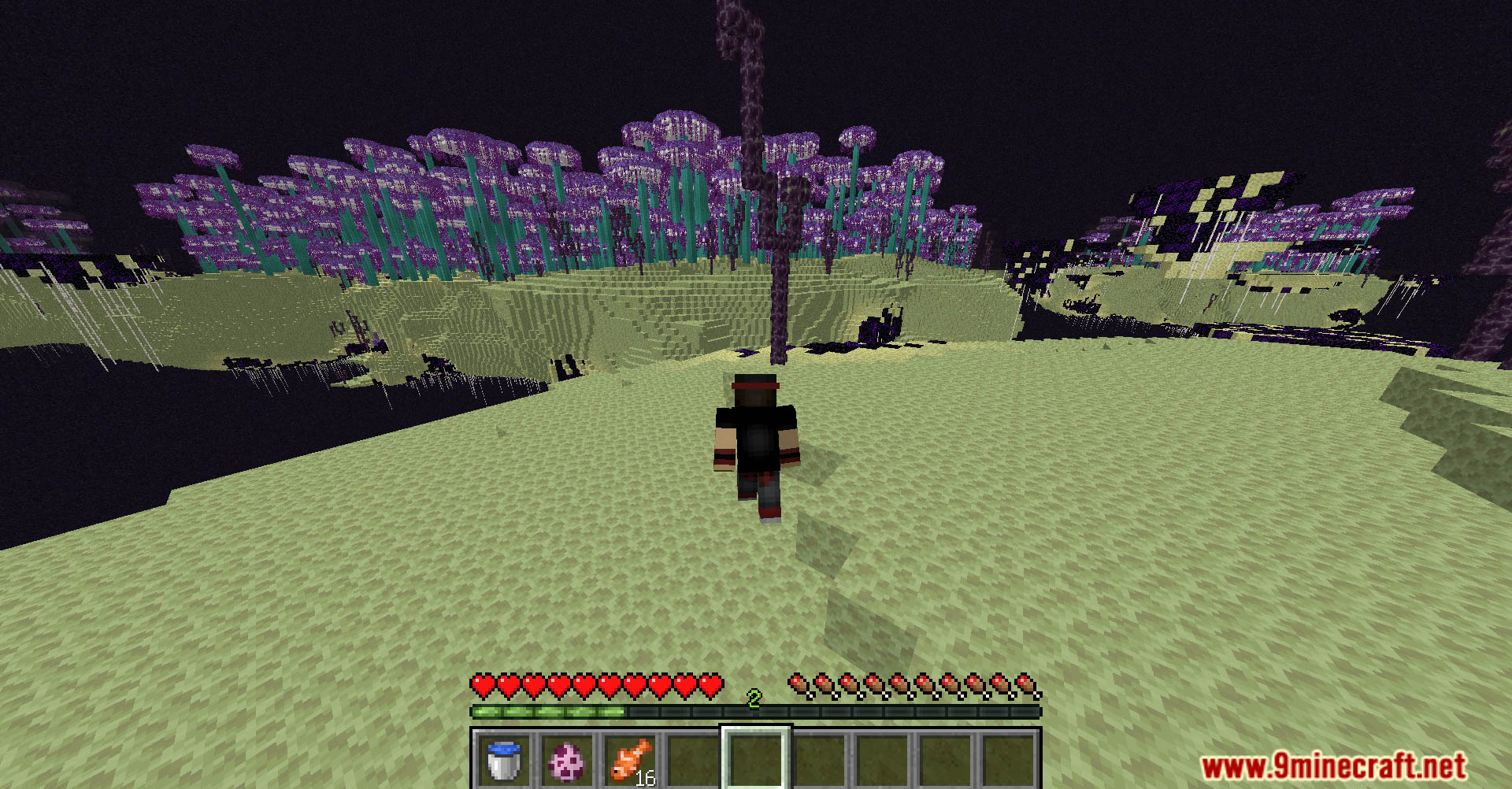 CoffeeG’s Double Jump Data Pack (1.21.11, 1.20.1) – Wall Jump, Leap ...