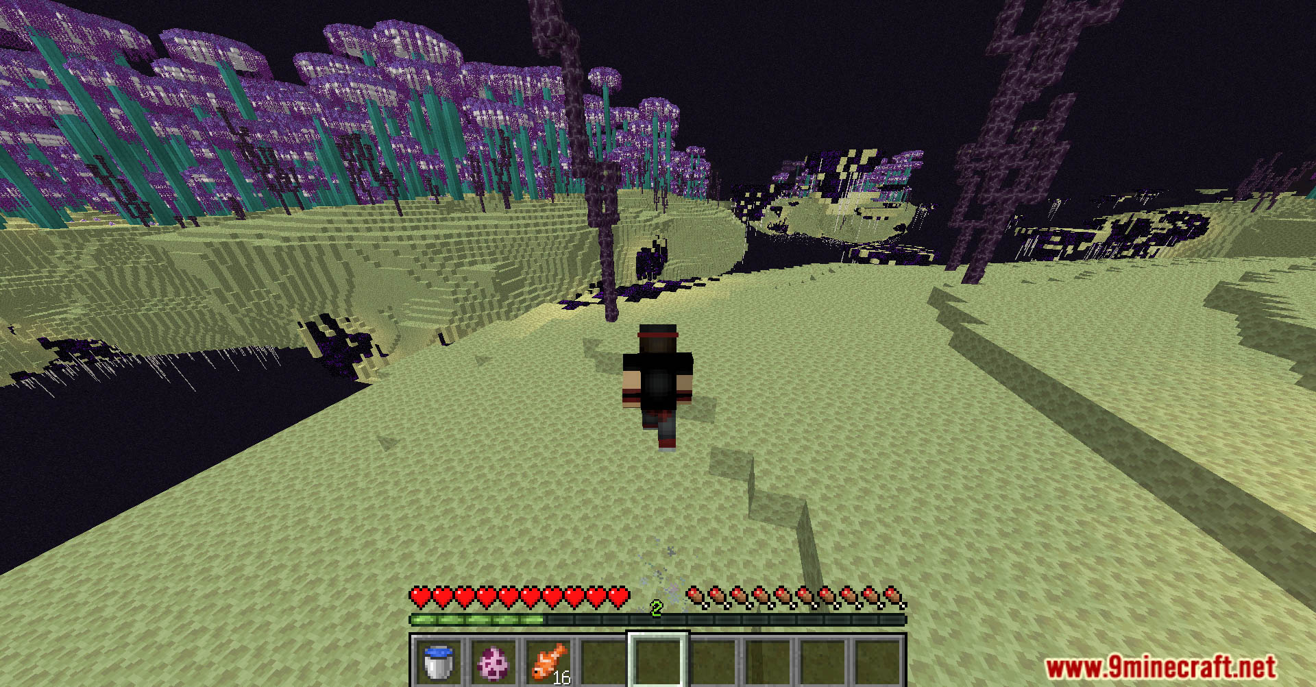 CoffeeG’s Double Jump Data Pack (1.21.11, 1.20.1) – Wall Jump, Leap ...