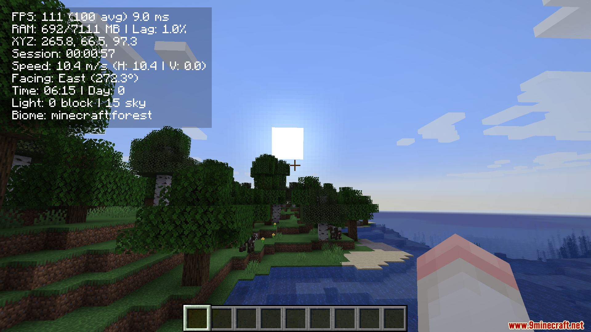 Simple F3 Mod Compact F3 Plus Mod (1.21.11, 1.20.1) – Check Coordinates Without A ...