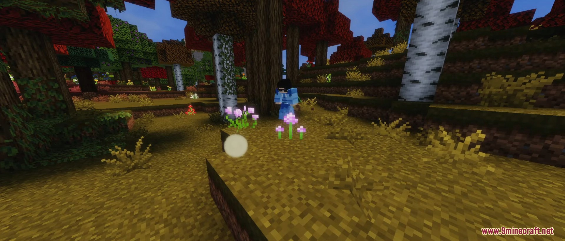 Concatenation Modpack (1.20.1) – Adventure Through Tarot Pathways 10 Concatenation modpack screenshots 9