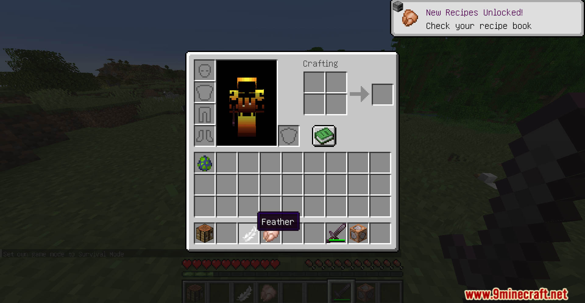 Craftable Elytras Data Pack (26.1.2, 1.21.1) – Soar To New Heights 2 Craftable elytras data pack screenshots