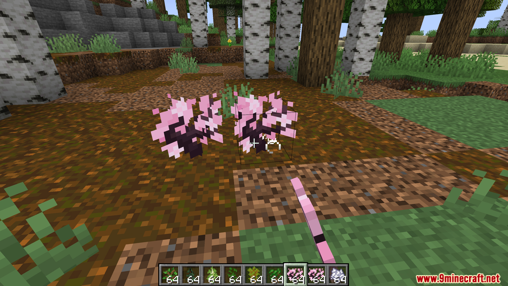 Custom Biome Saplings Data Pack (1.21.11, 1.20.1) – Regrow Custom Plants