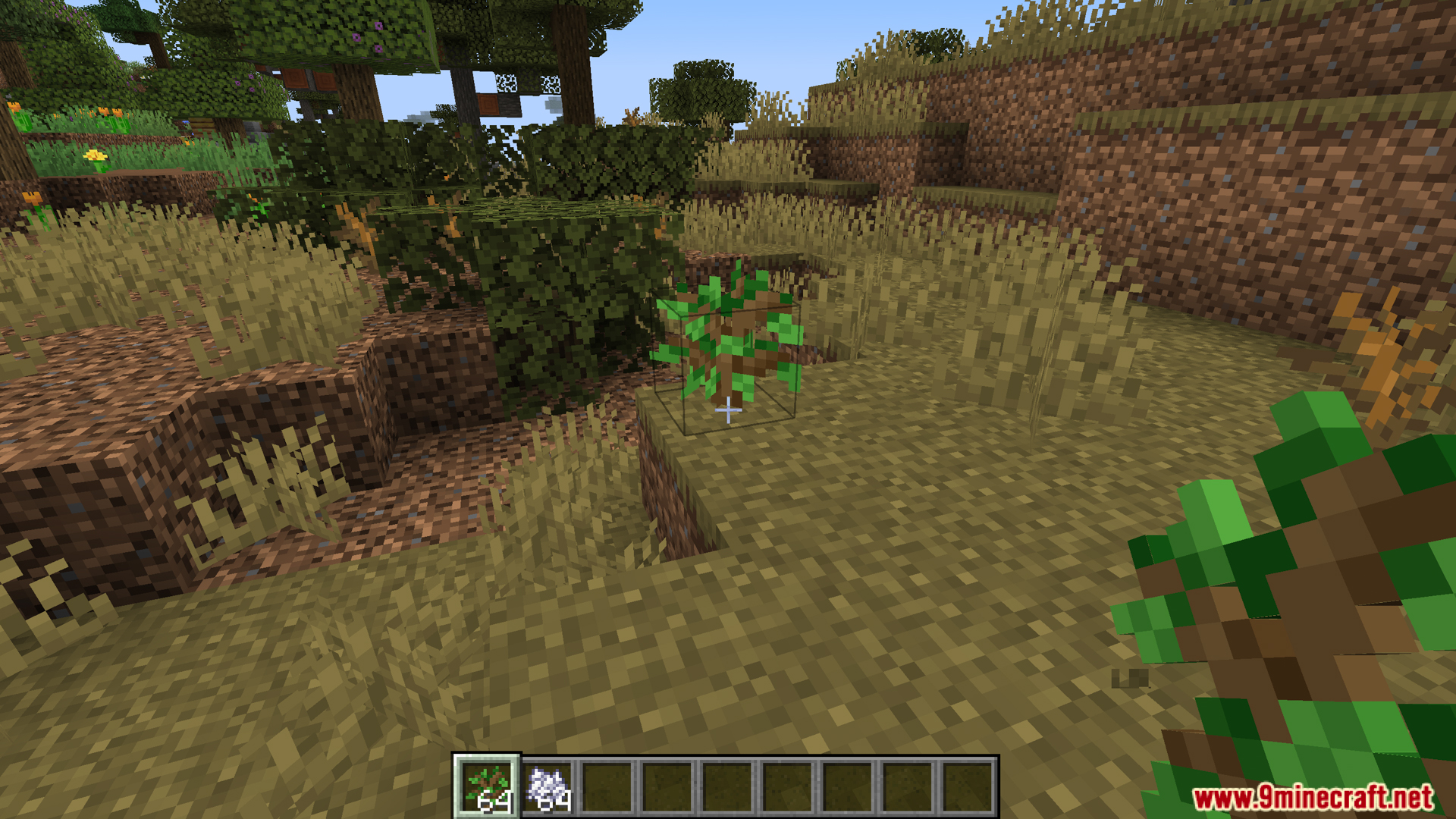 Custom Biome Saplings Data Pack (1.21.11, 1.20.1) – Regrow Custom Plants