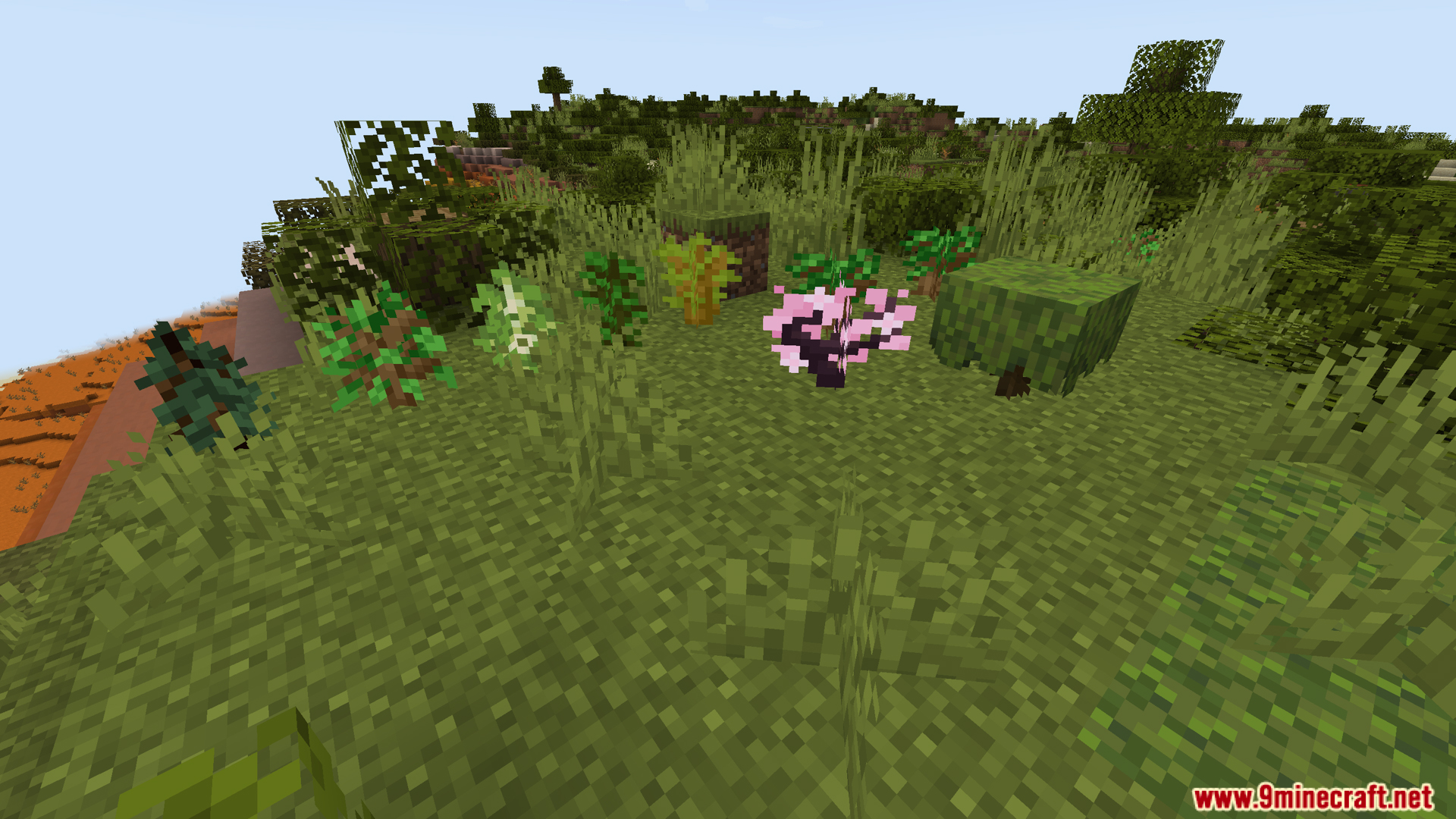 Custom Biome Saplings Data Pack (1.21.11, 1.20.1) – Regrow Custom Plants