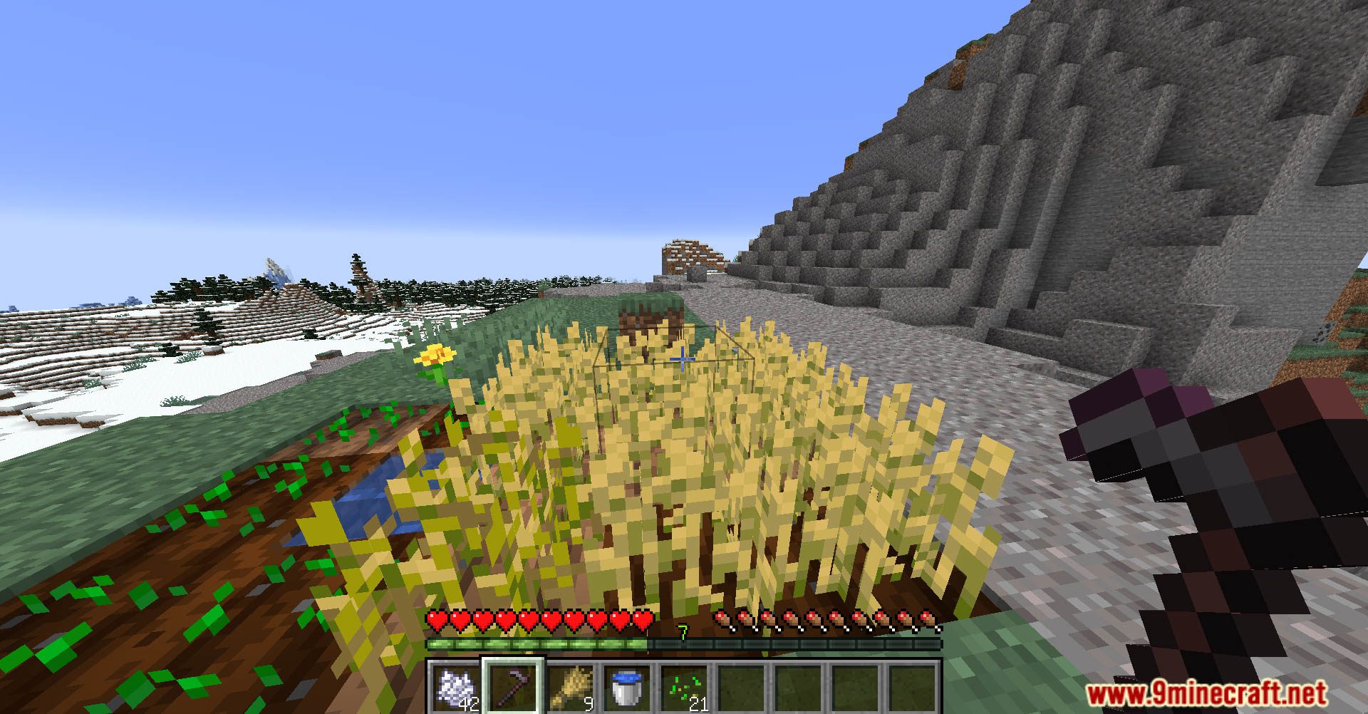 Farm 3×3 Data Pack (26.1.2, 1.20.1) – A Minecraft Data Pack For Efficient Farming 5 Farm 3x3 data pack screenshots 4
