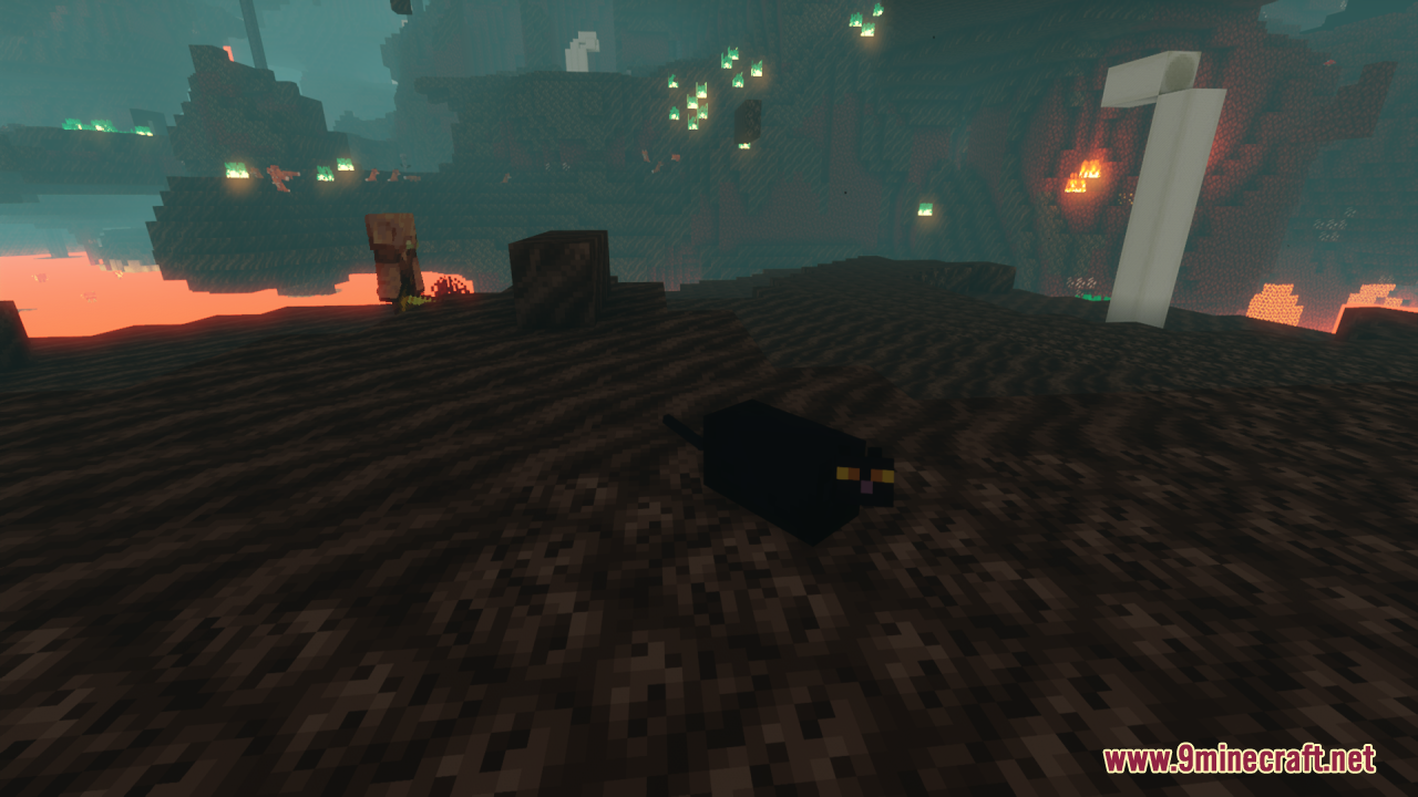 Fat Cats Resource Pack (26.1.2, 1.20.1) – Texture Pack 7 Fat cats screenshots 6