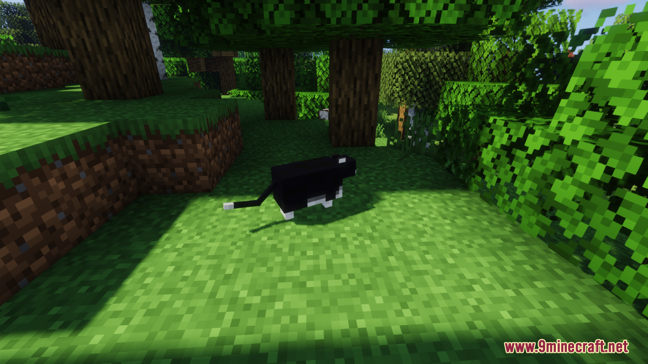 Fat Cats Resource Pack (26.1.2, 1.20.1) – Texture Pack 9 Fat cats screenshots 8